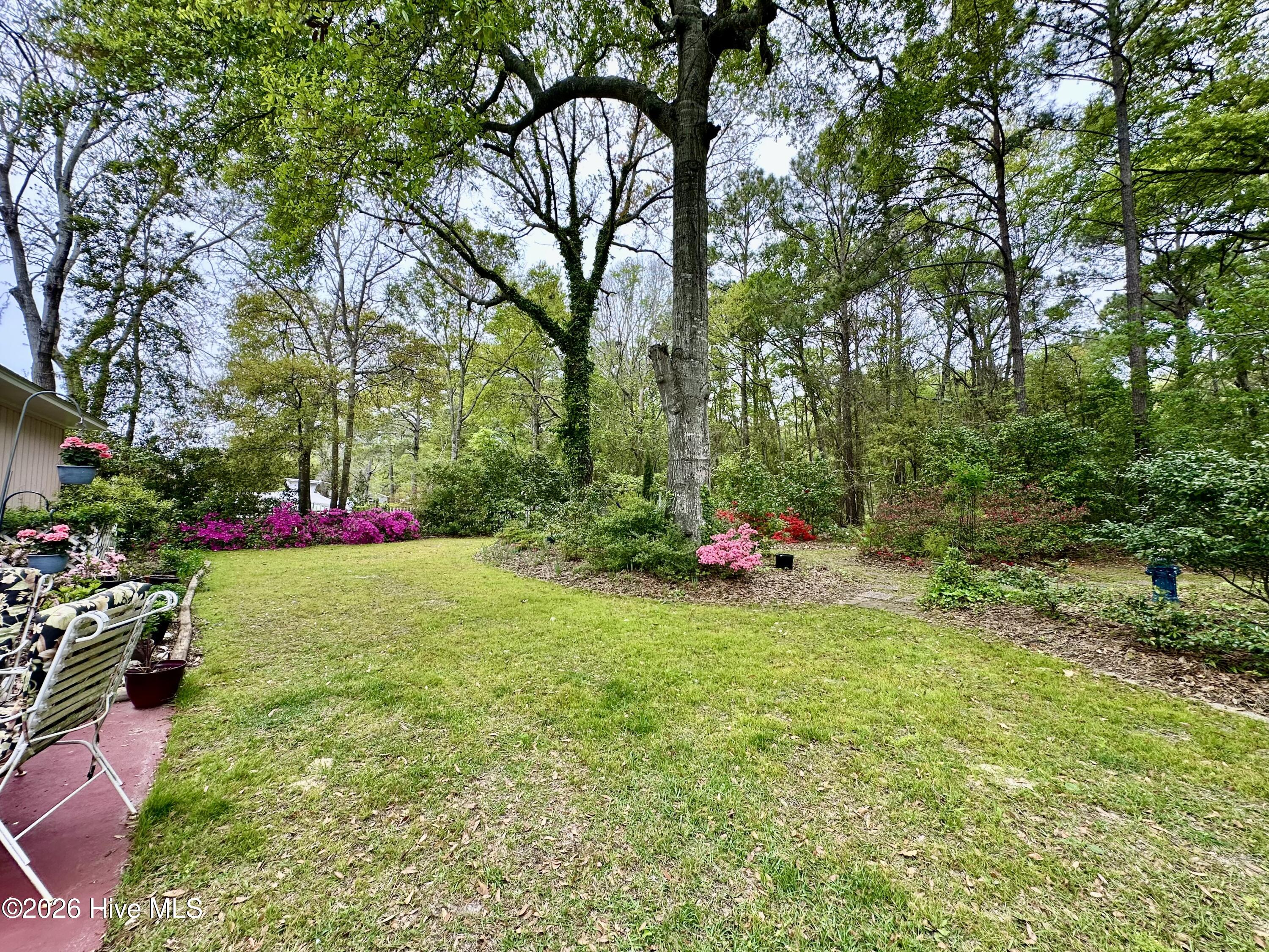 100561830 | Photo 33