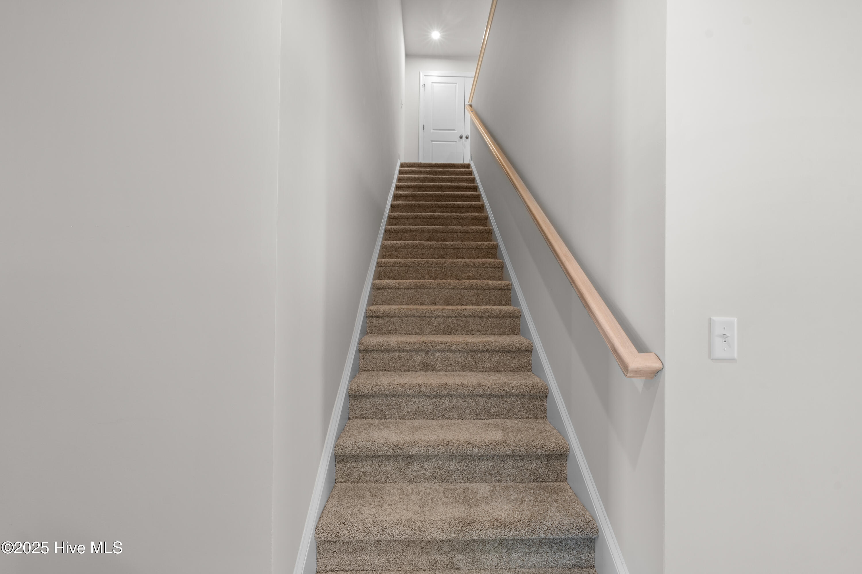 100565958 | Photo 35