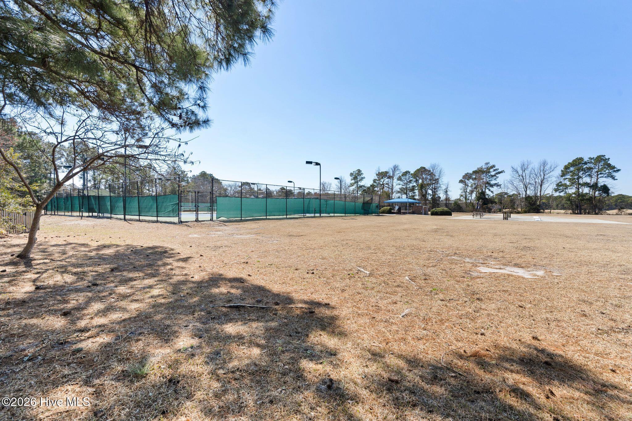 100554284 | Photo 50