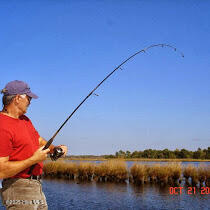 100524017 | Photo 32