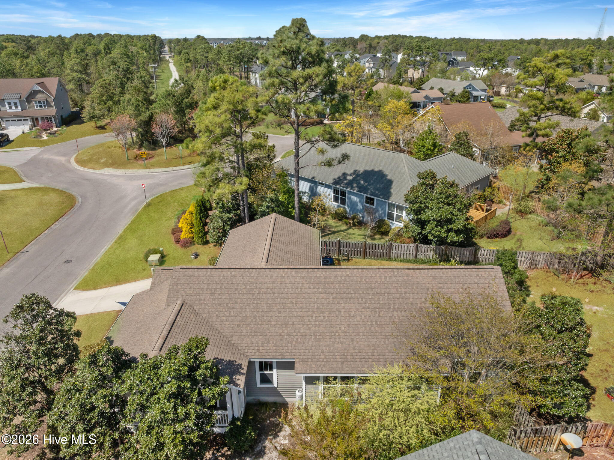 100566521 | Photo 23