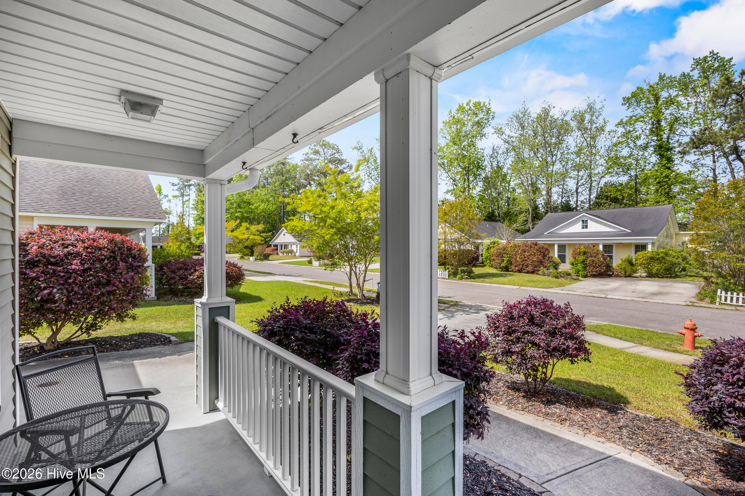 100565934 | Photo 31