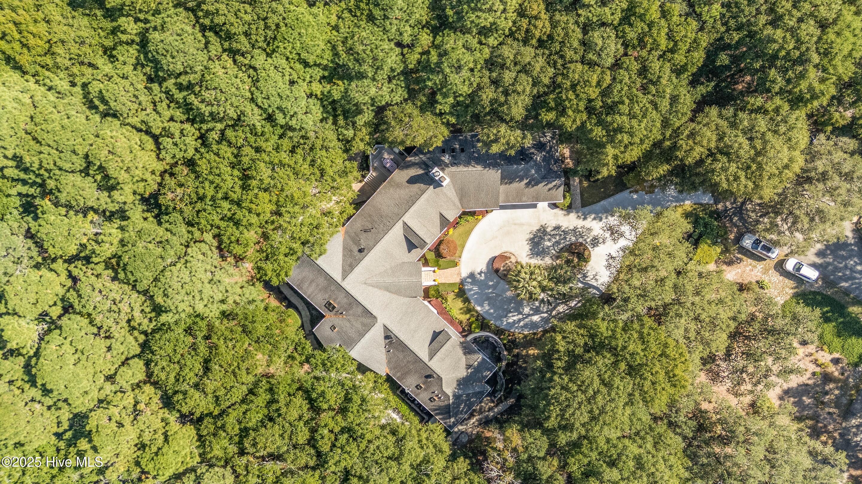 100539115 | Photo 18