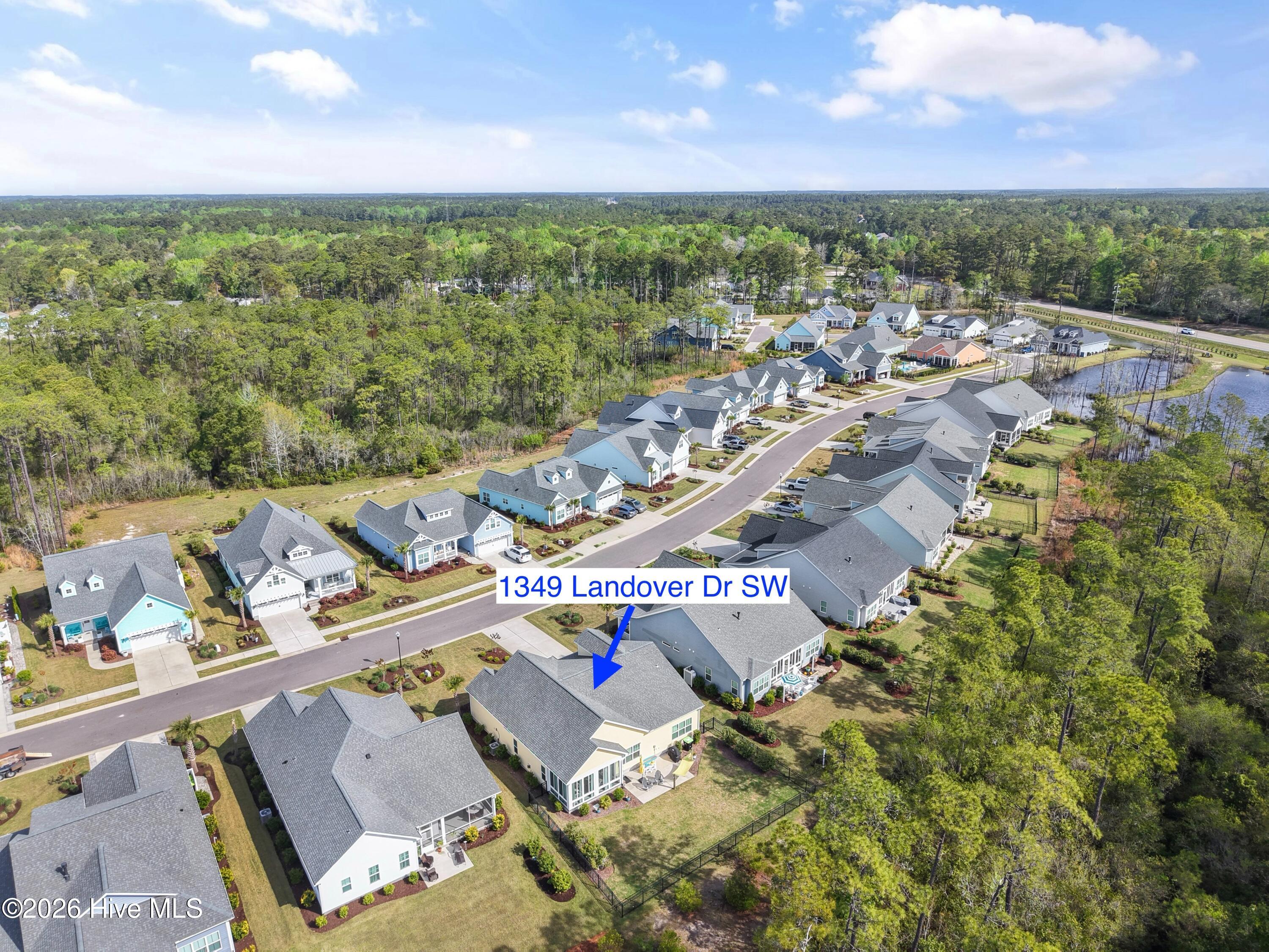 100566064 | Photo 59