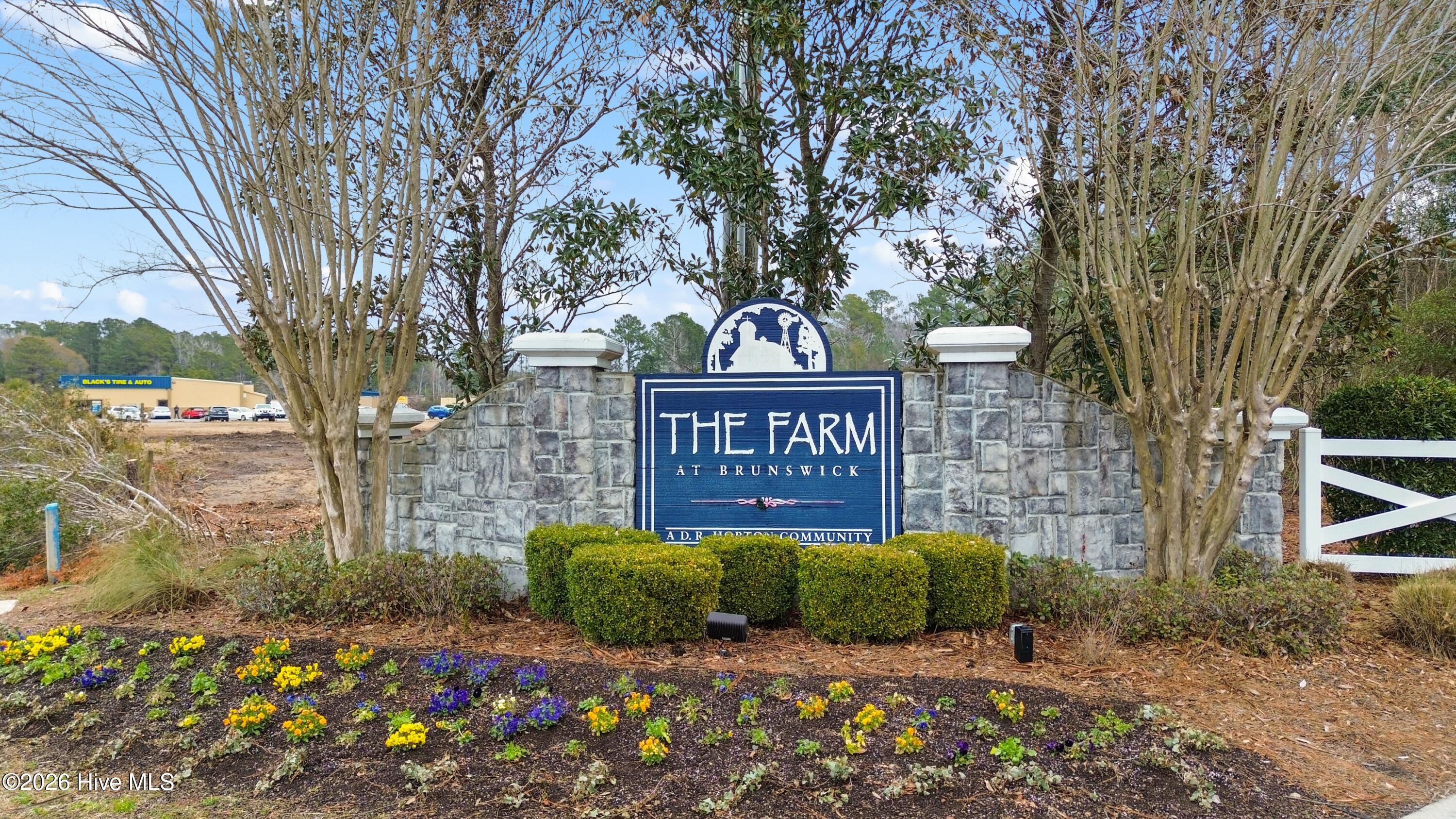 100553294 | Photo 40