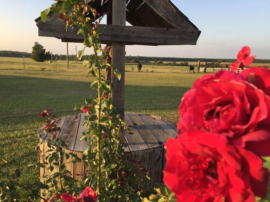 ROSES!