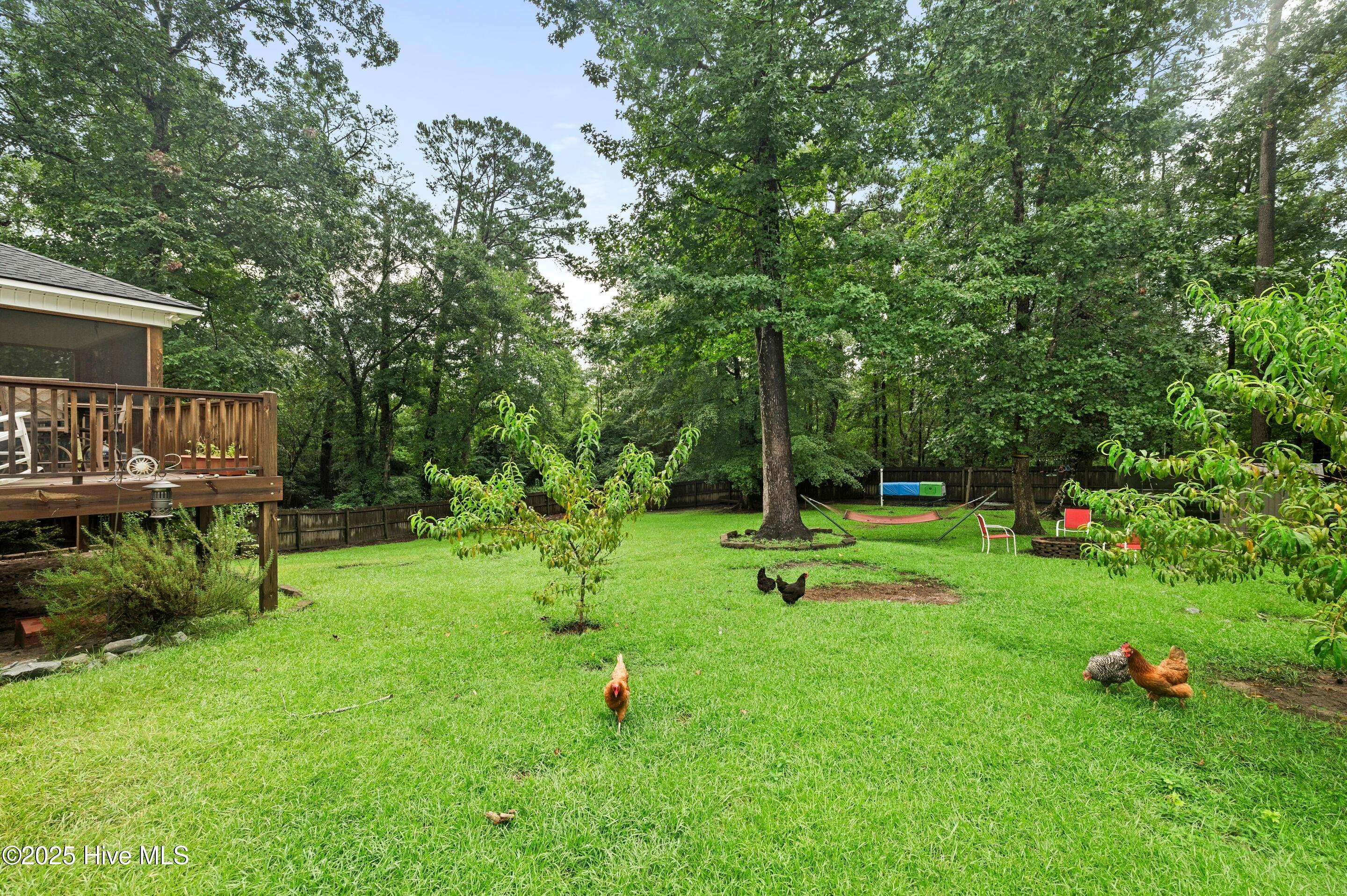 100523069 | Photo 36