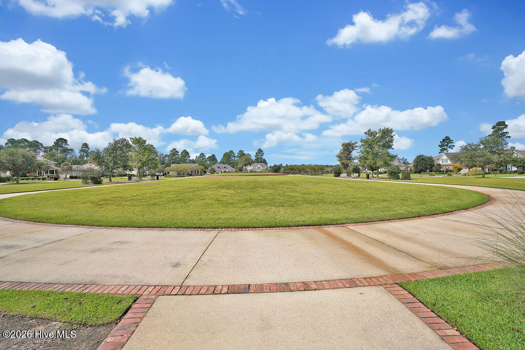 100565235 | Photo 163