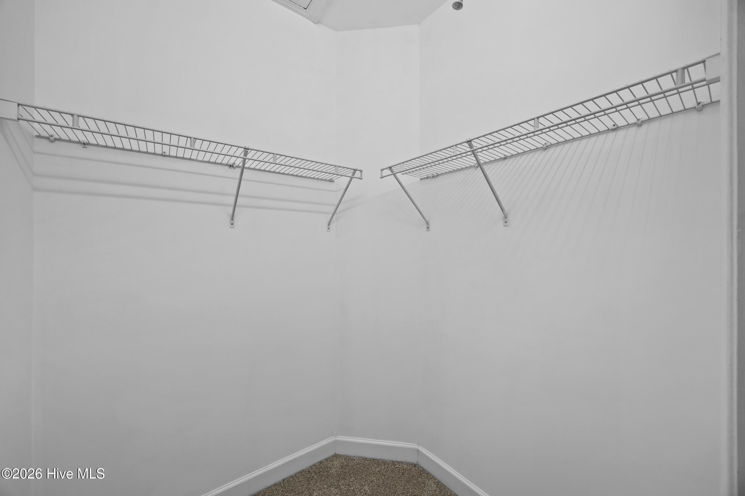 100566827 | Photo 23