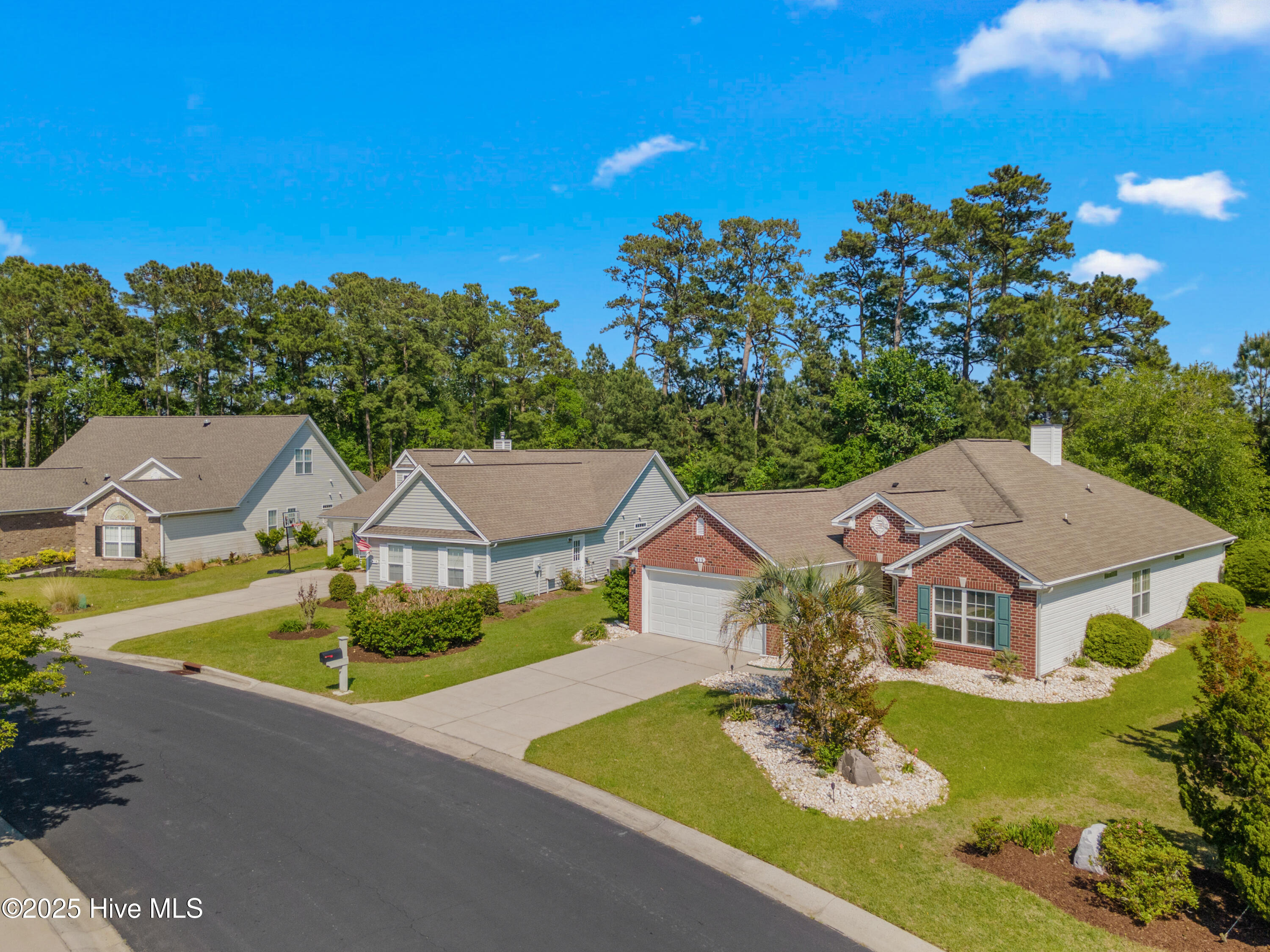 100502471 | Photo 38