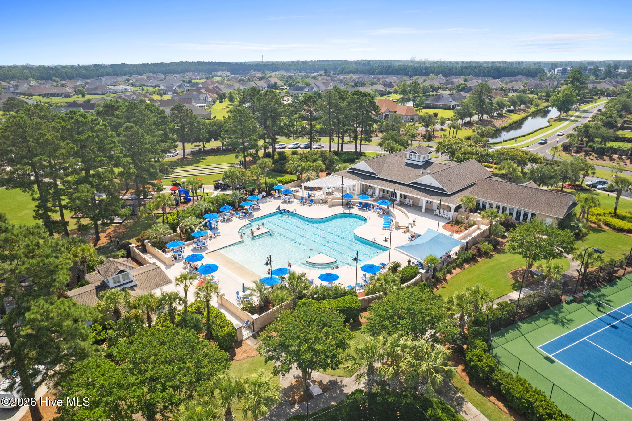 100556001 | Photo 47