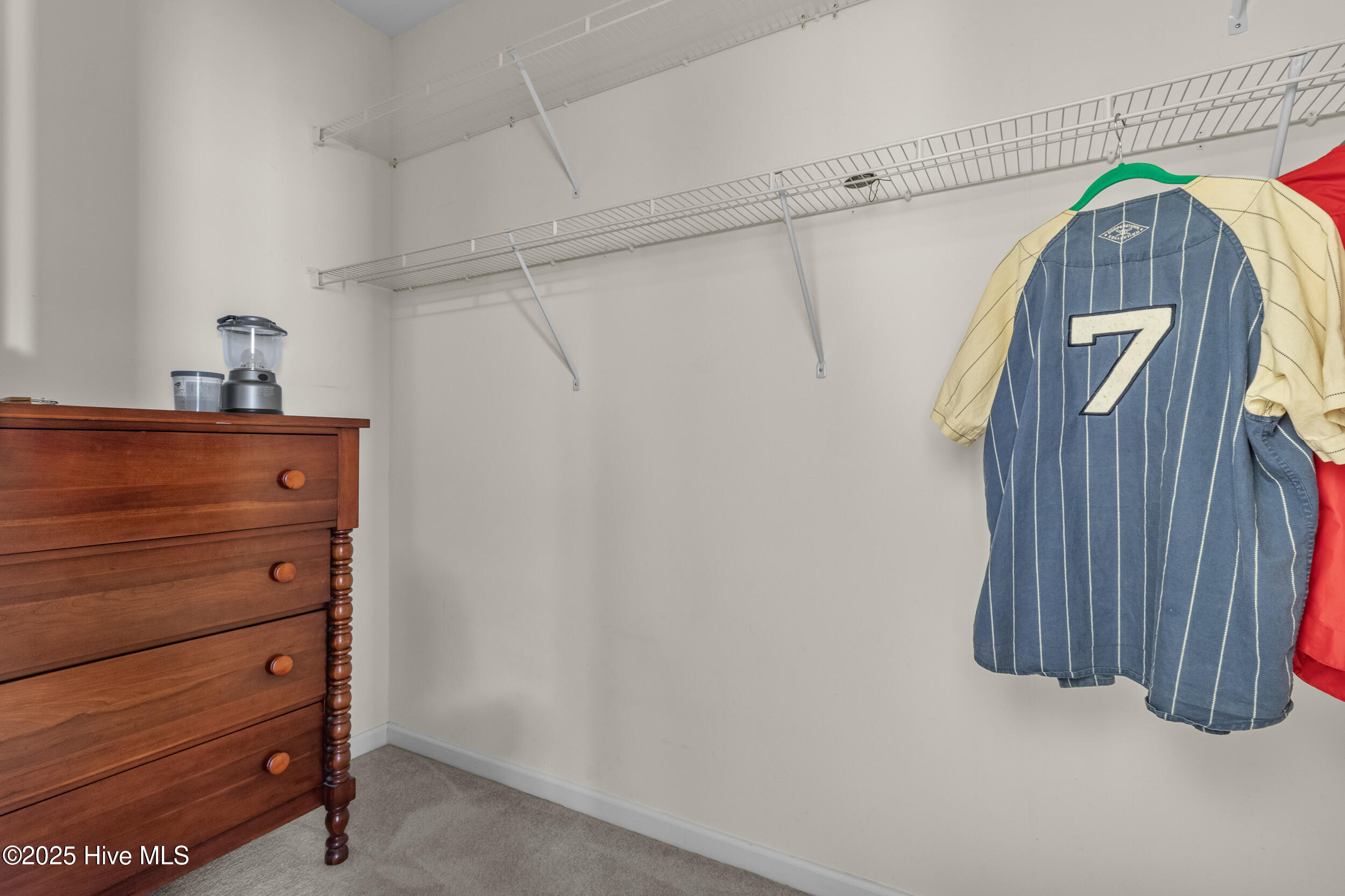 100536590 | Photo 25