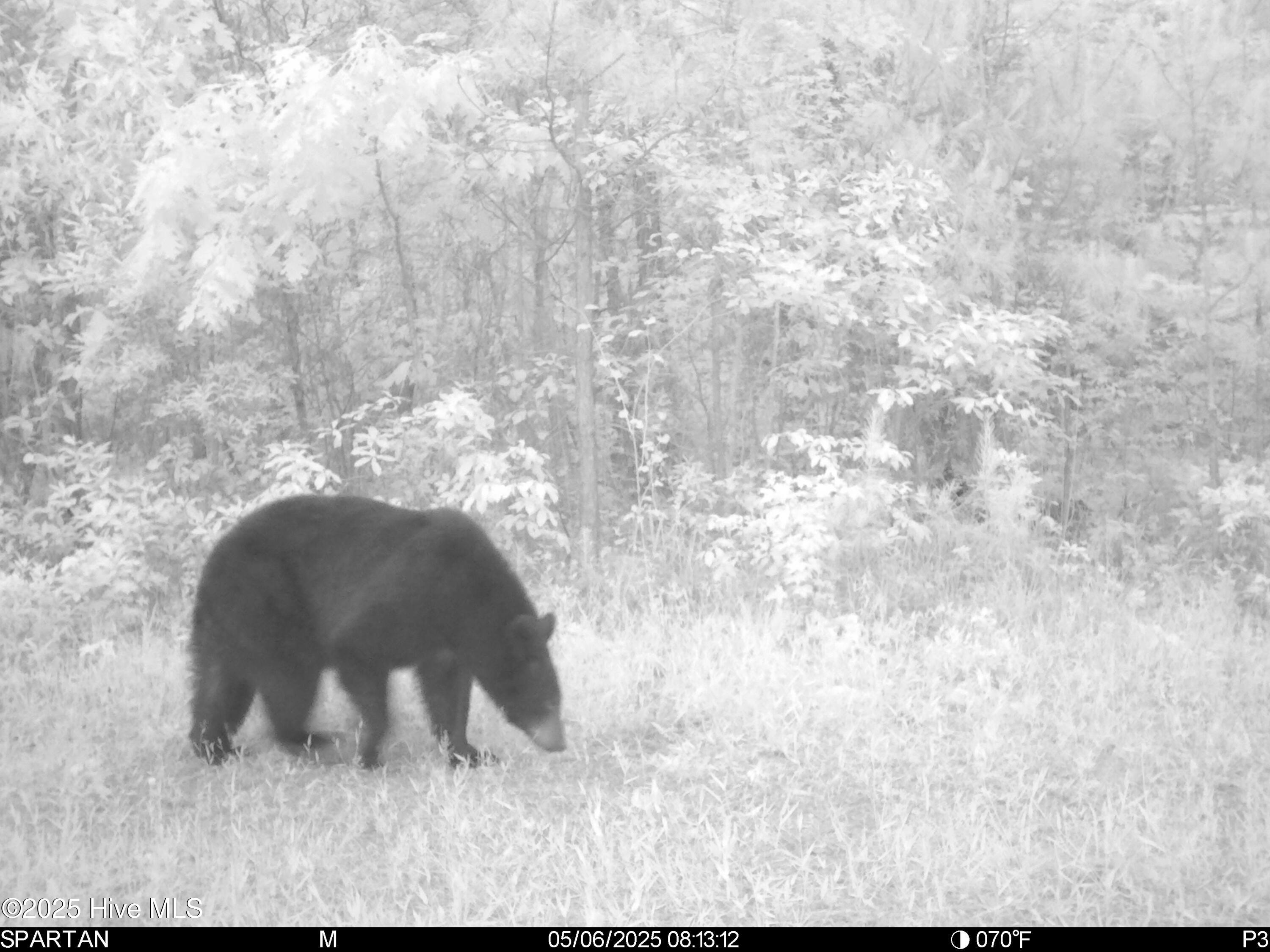 Homes for sale in Aurora, NC | 0 Nc 33 Off, Aurora, NC 27806 | MLS# 100507131