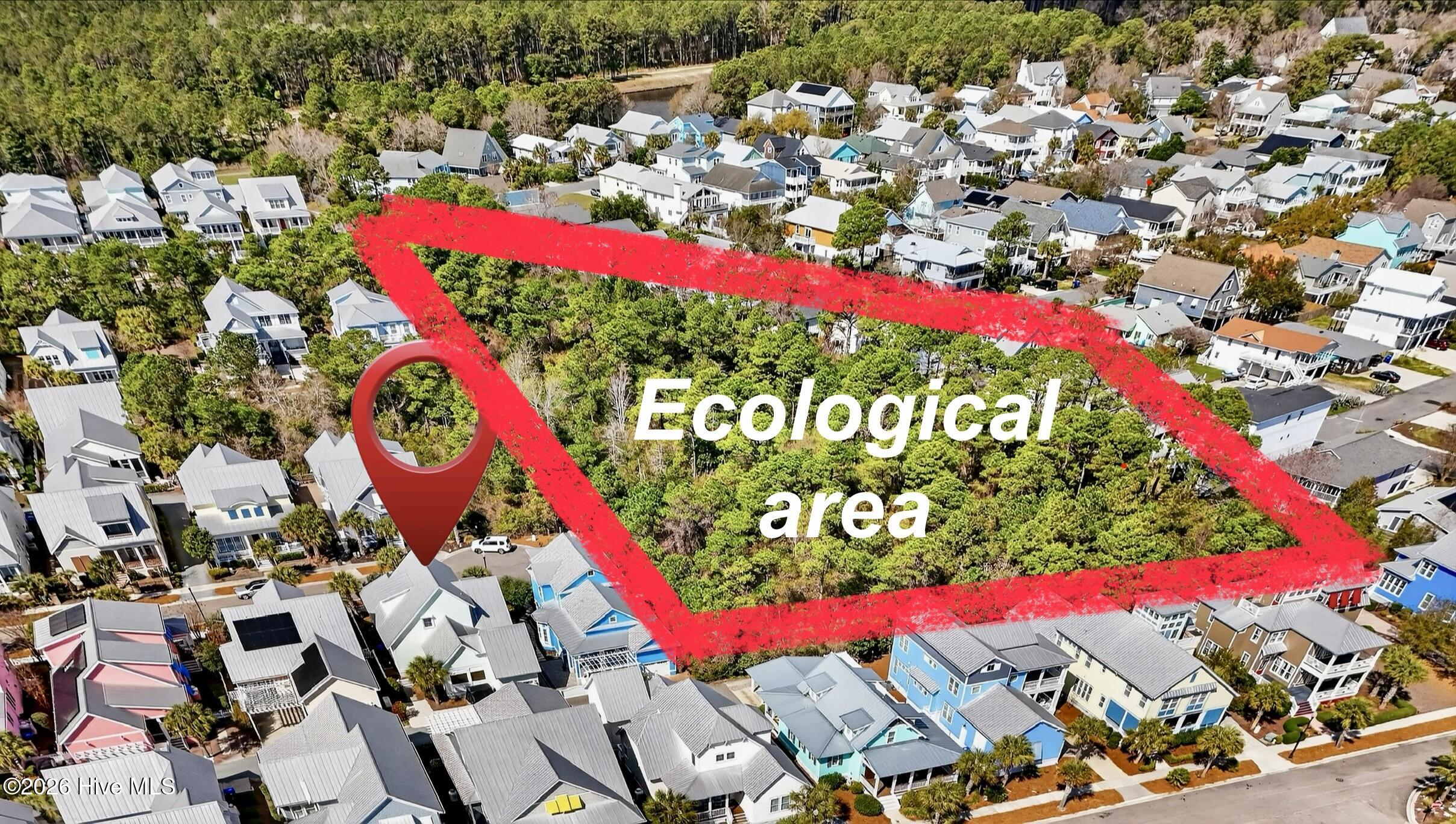 100559035 | Photo 47