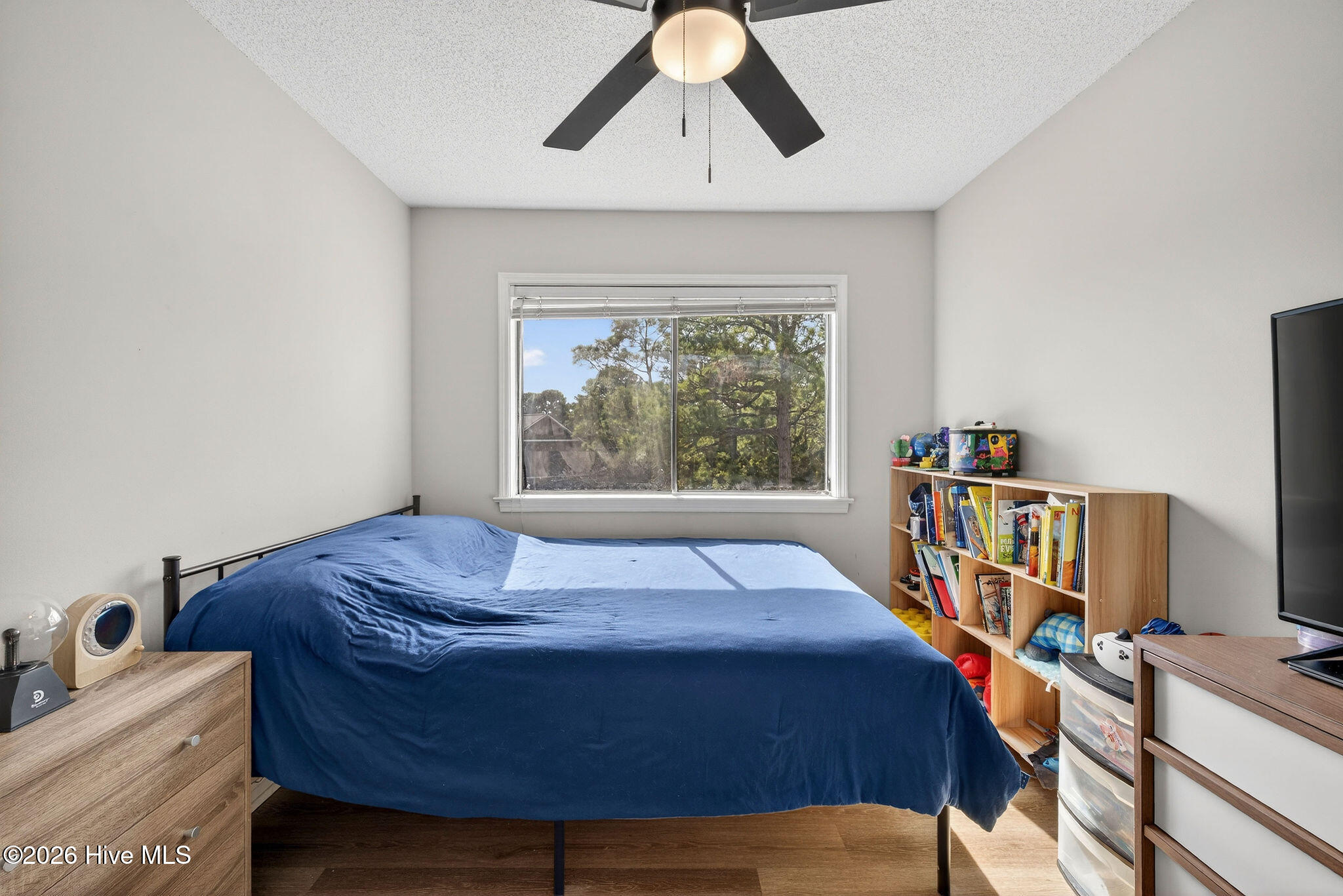 100555356 | Photo 22