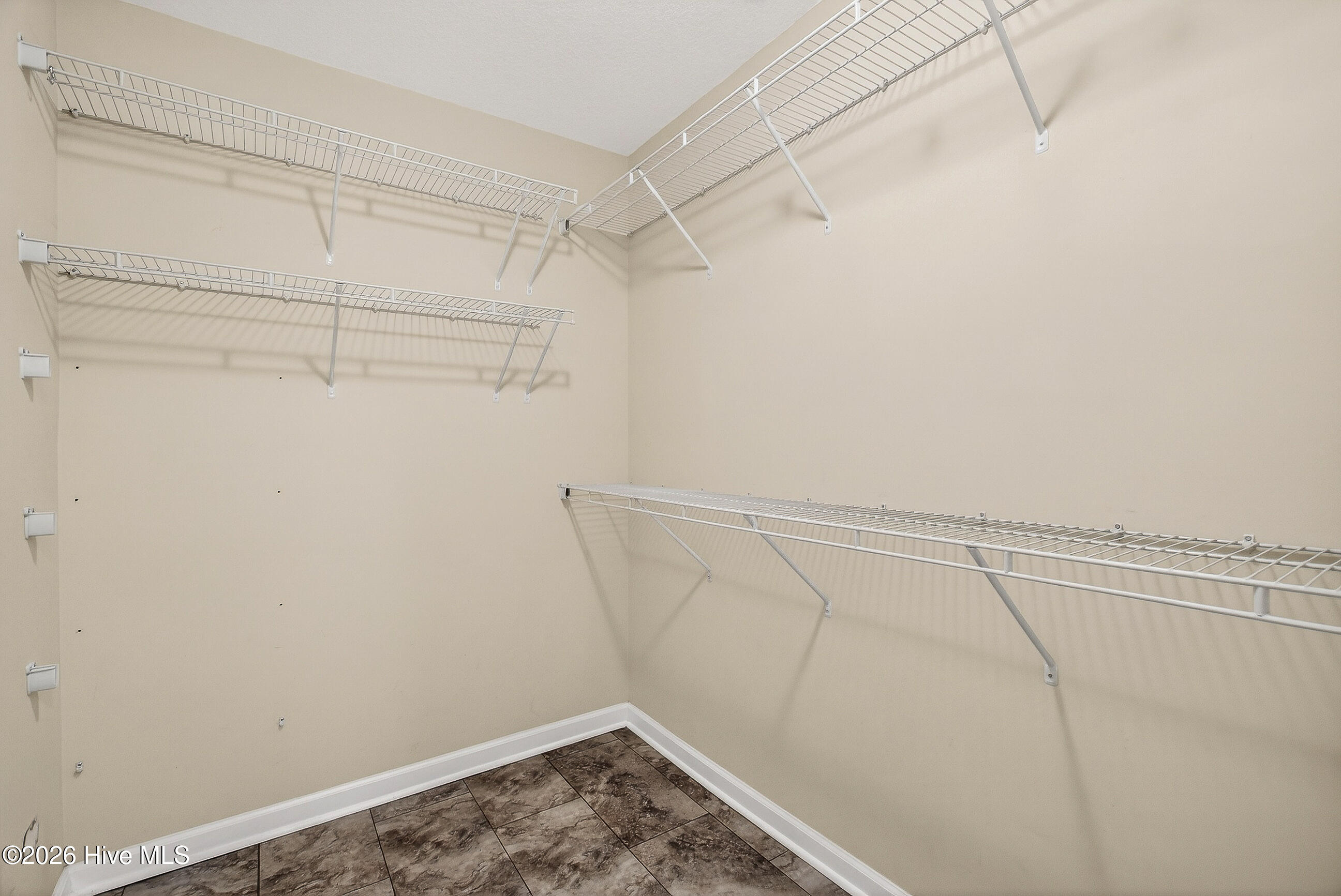 100563999 | Photo 19