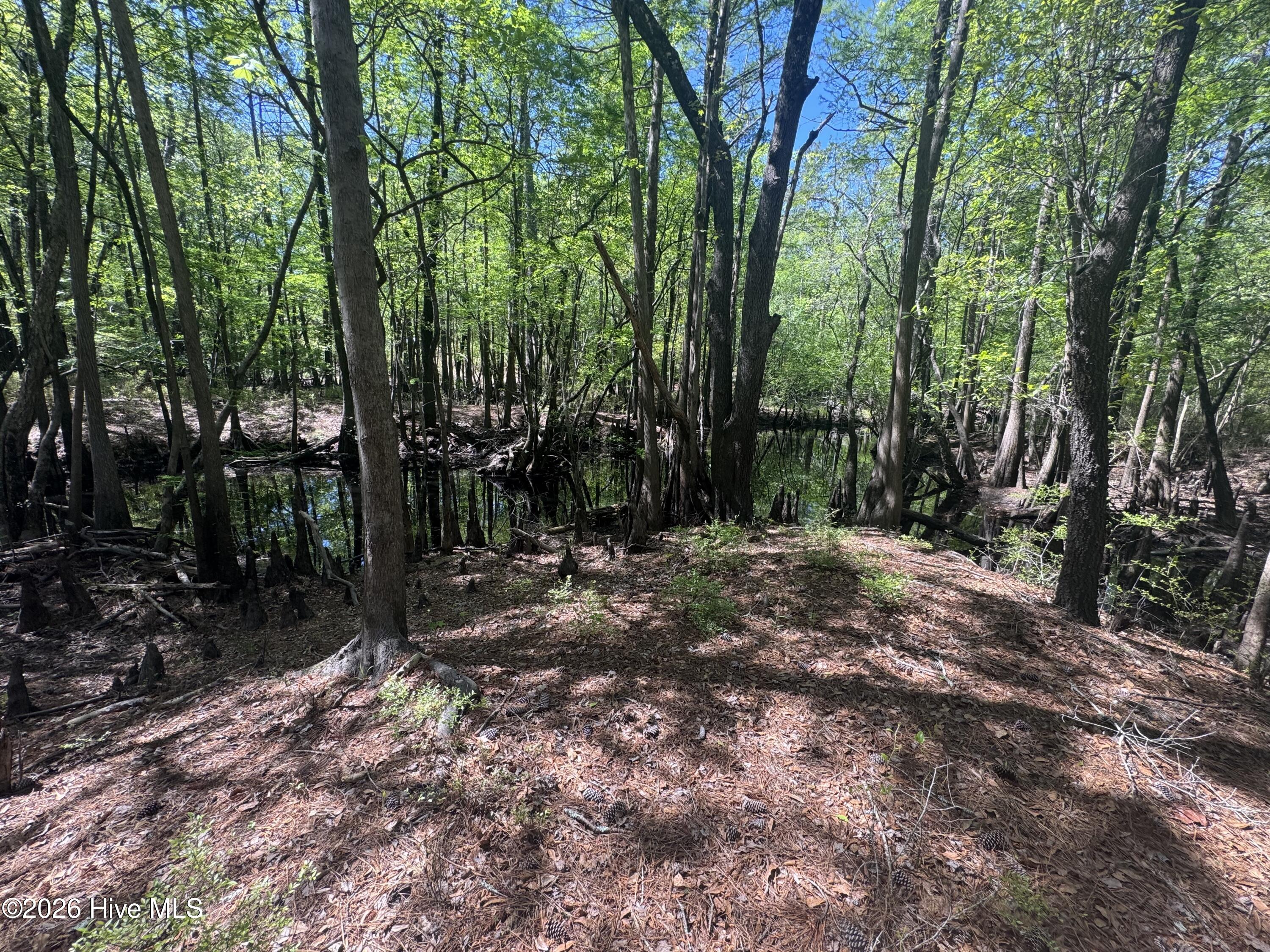 Homes for sale in Atkinson, NC | 5, 6, 7 53 Off Hwy, Atkinson, NC 28421 | MLS# 100568950
