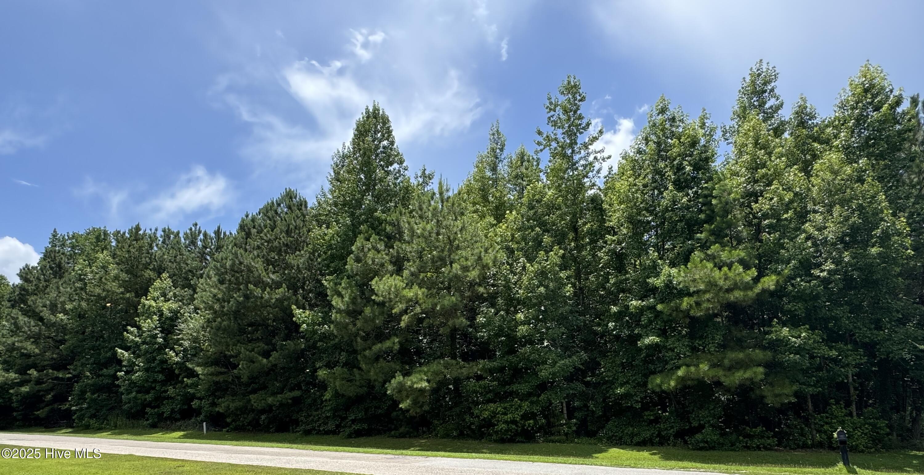 Homes for sale in Whiteville, NC | 263 Whites Crossing Ln, Whiteville, NC 28472 | MLS# 100517363