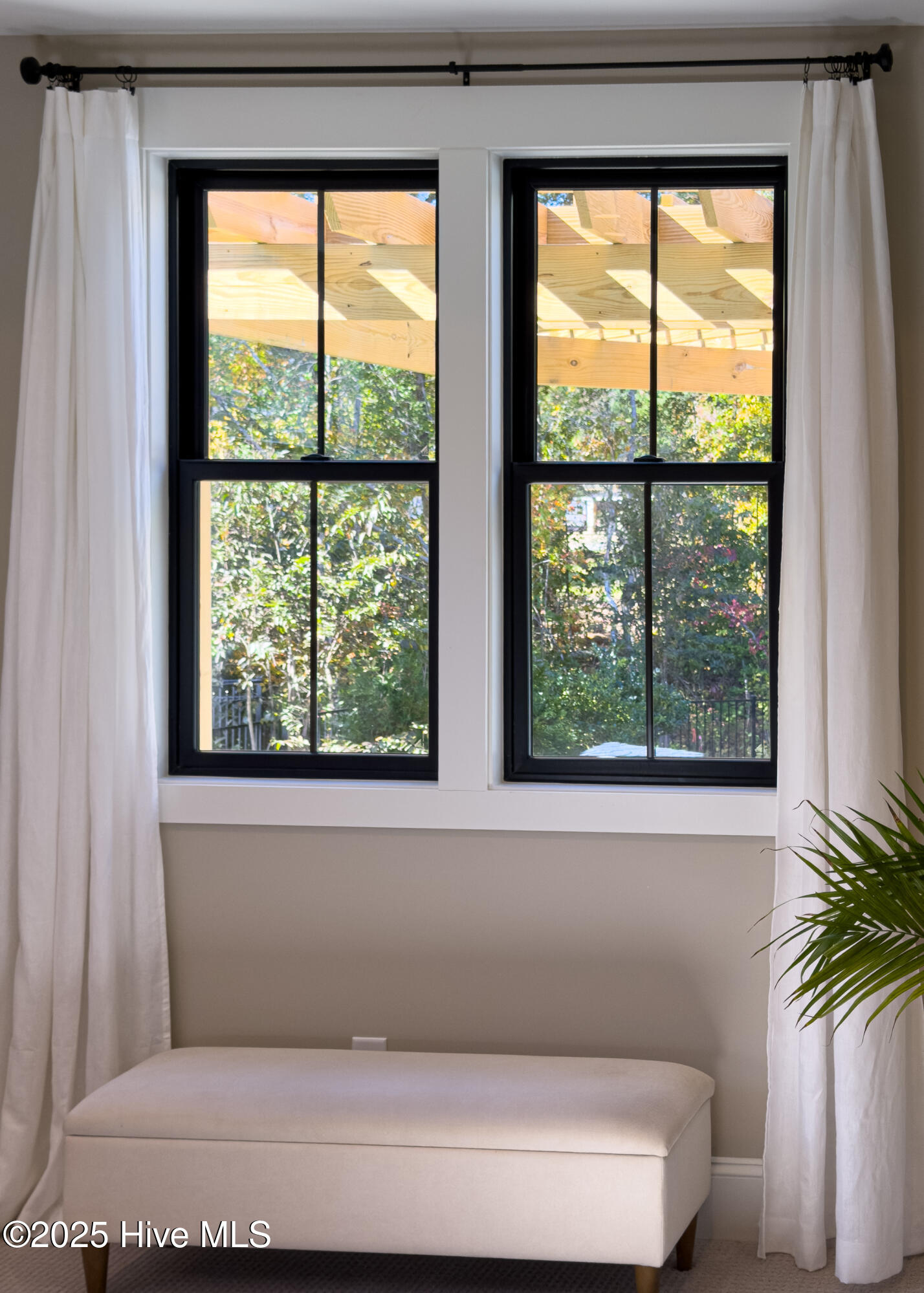 100539739 | Photo 44