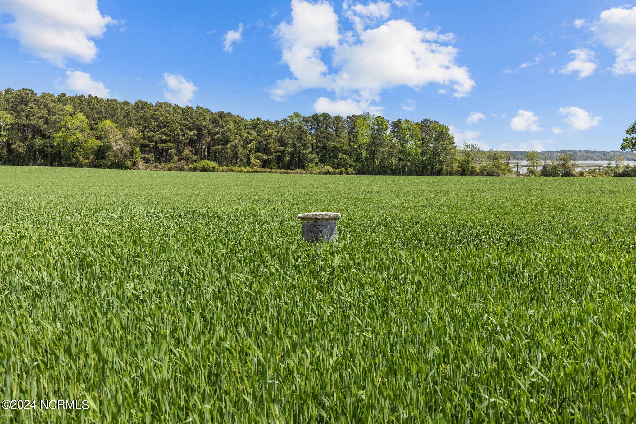 100542298 | Photo 28