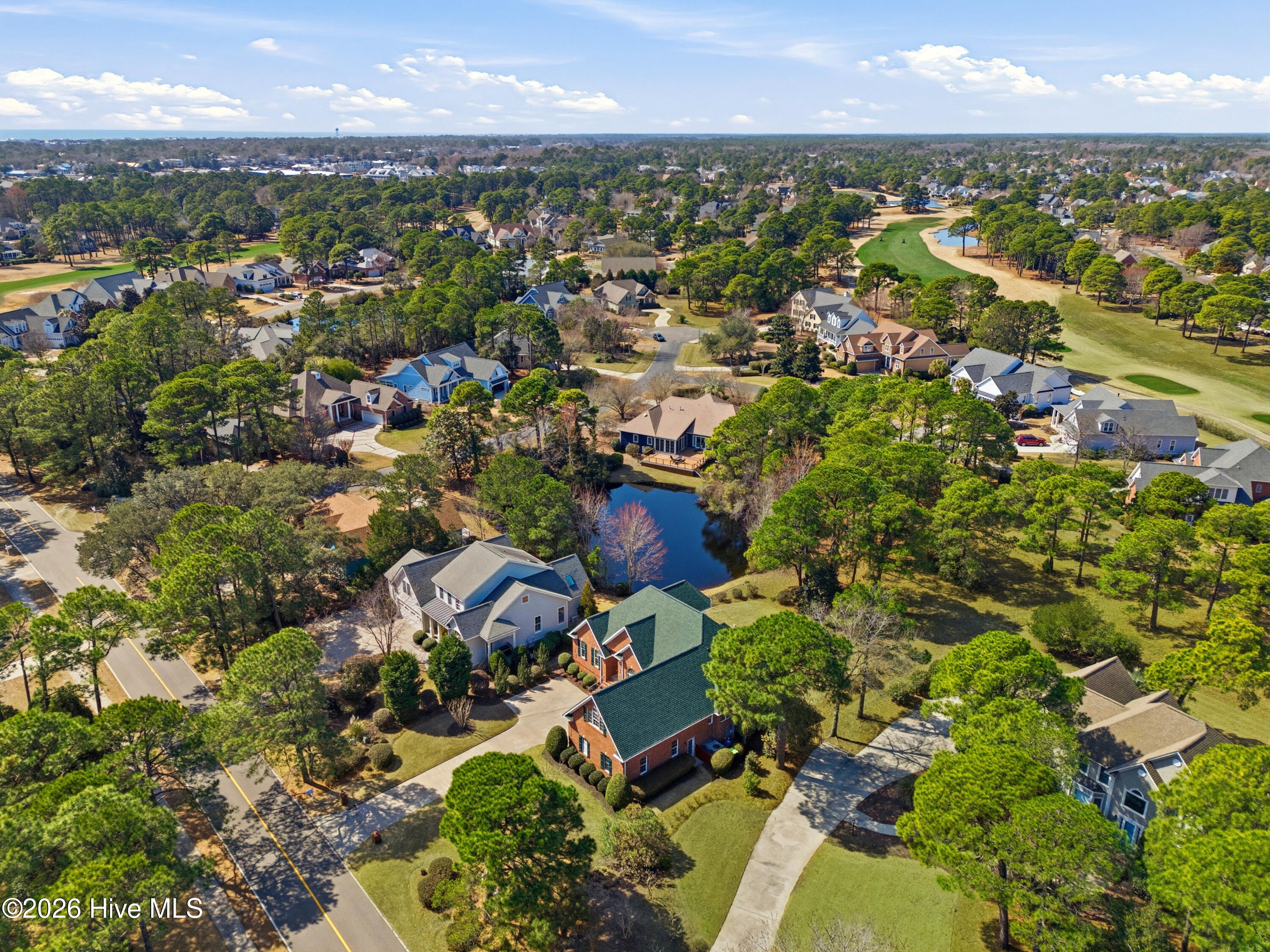 100558139 | Photo 59