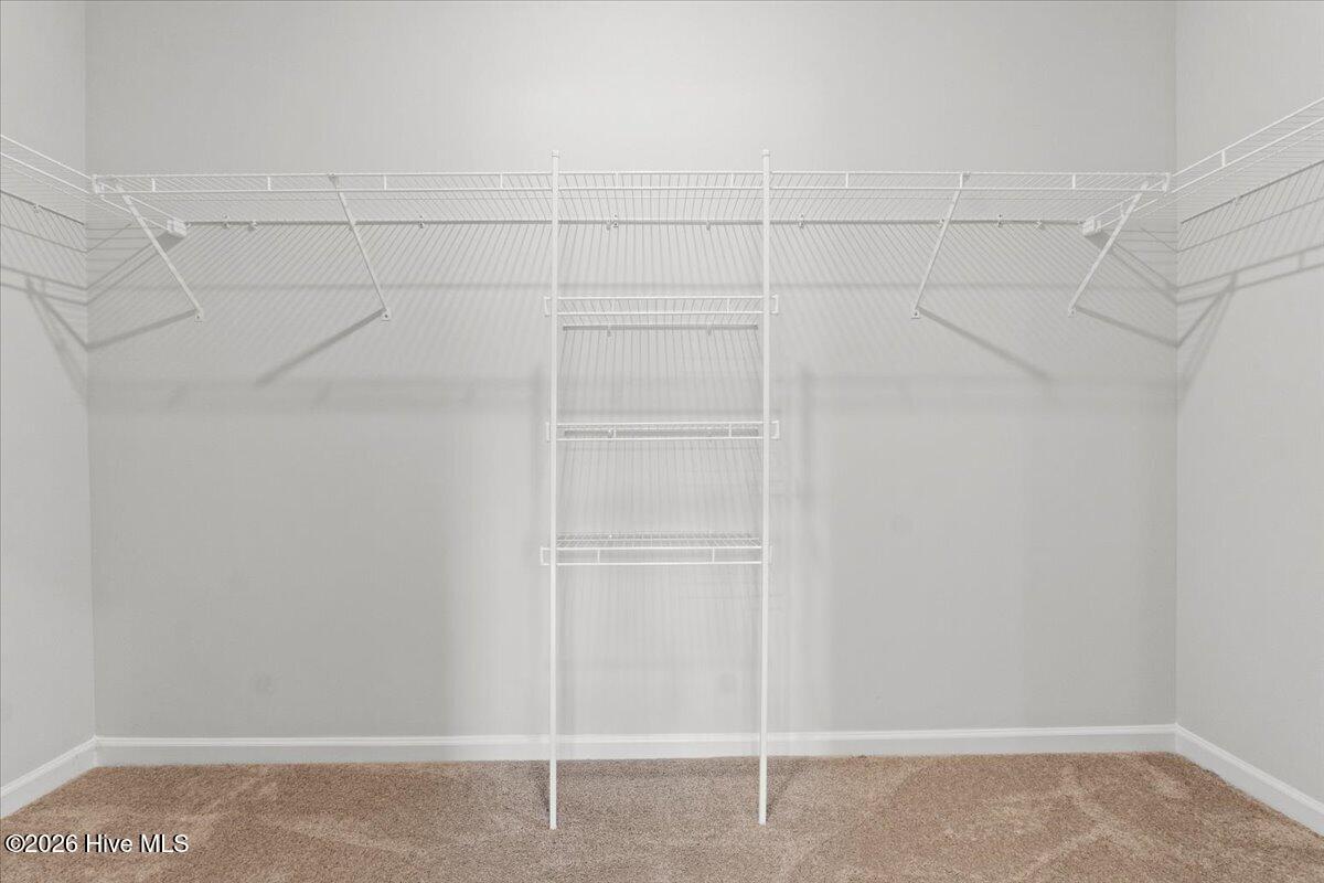 100567069 | Photo 25