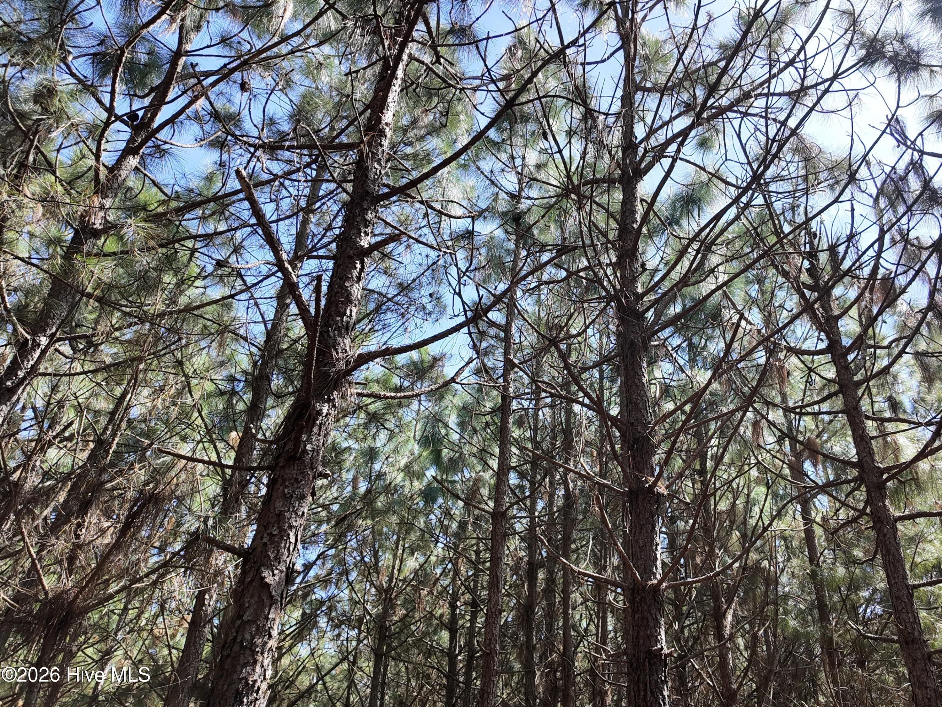 100560557 | Photo 33