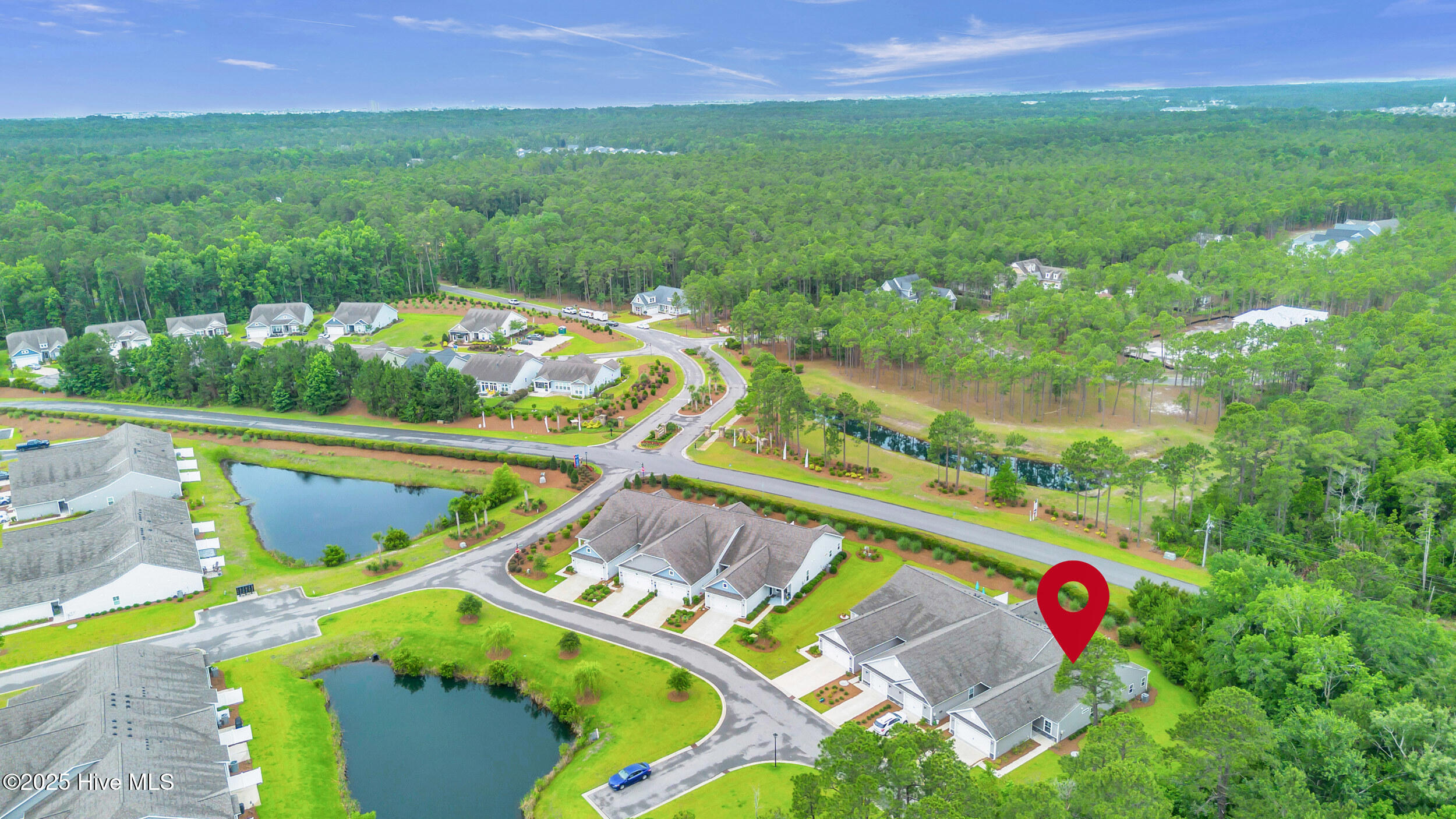 100514304 | Photo 40