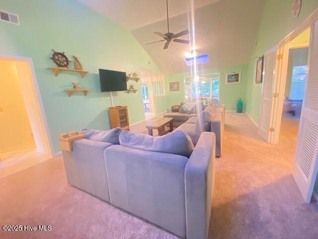 100537292 | Photo 13