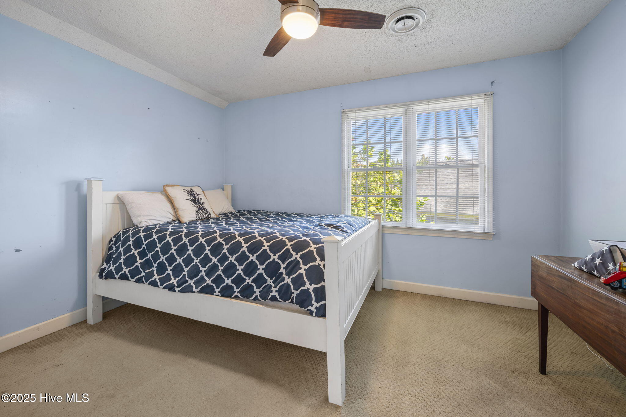 100531904 | Photo 27