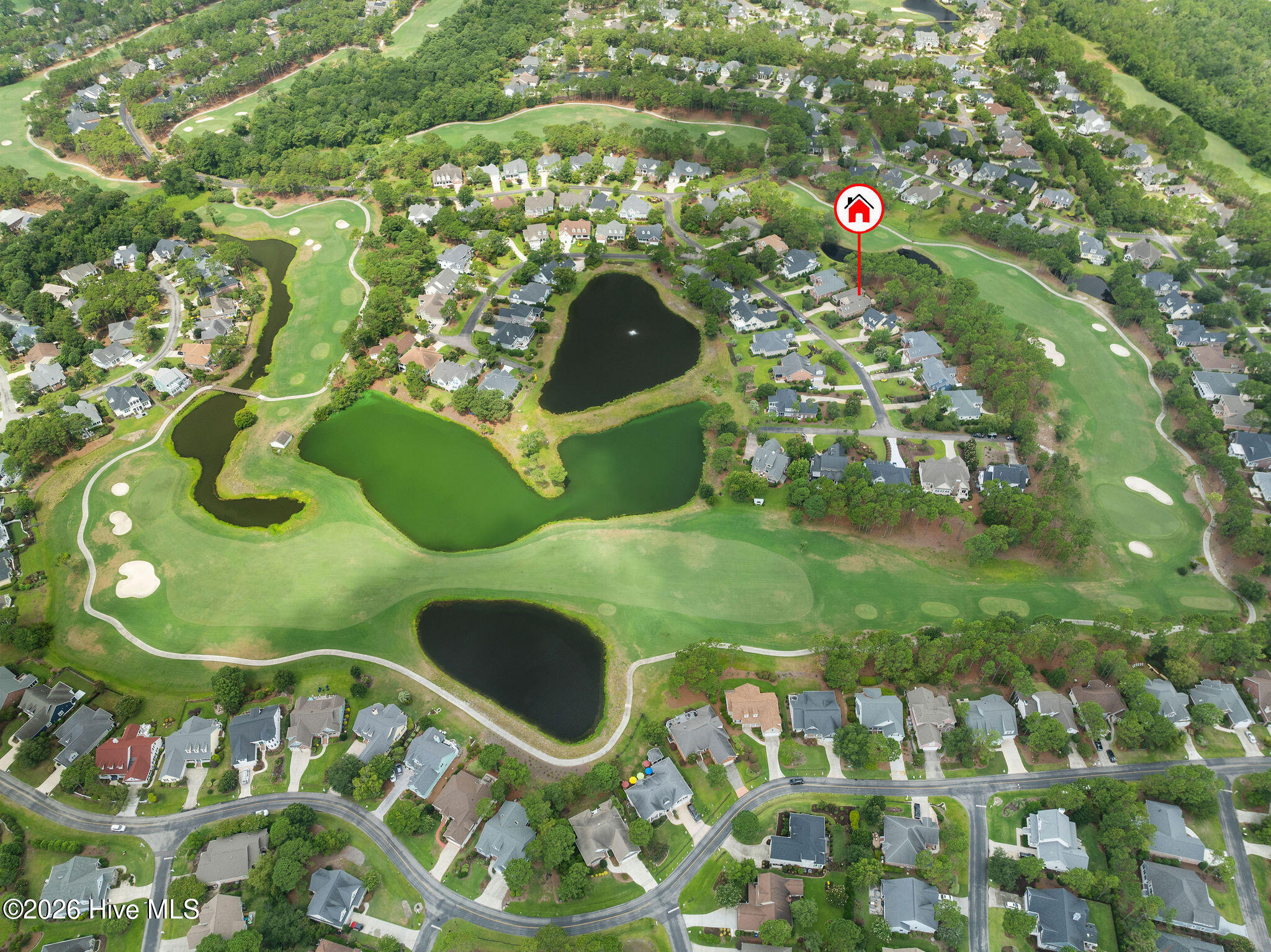 100548545 | Photo 65