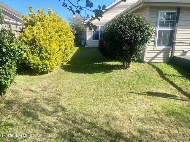 100566156 | Photo 34