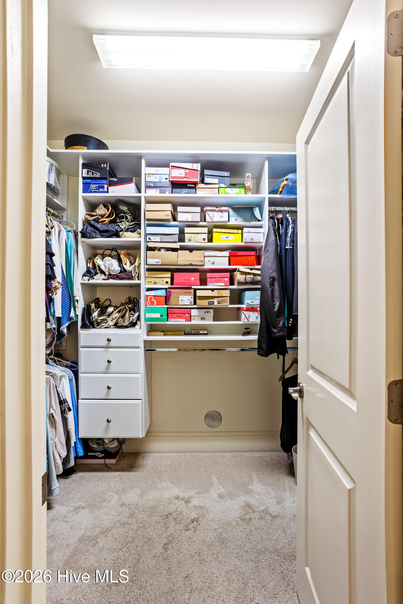 100565451 | Photo 23