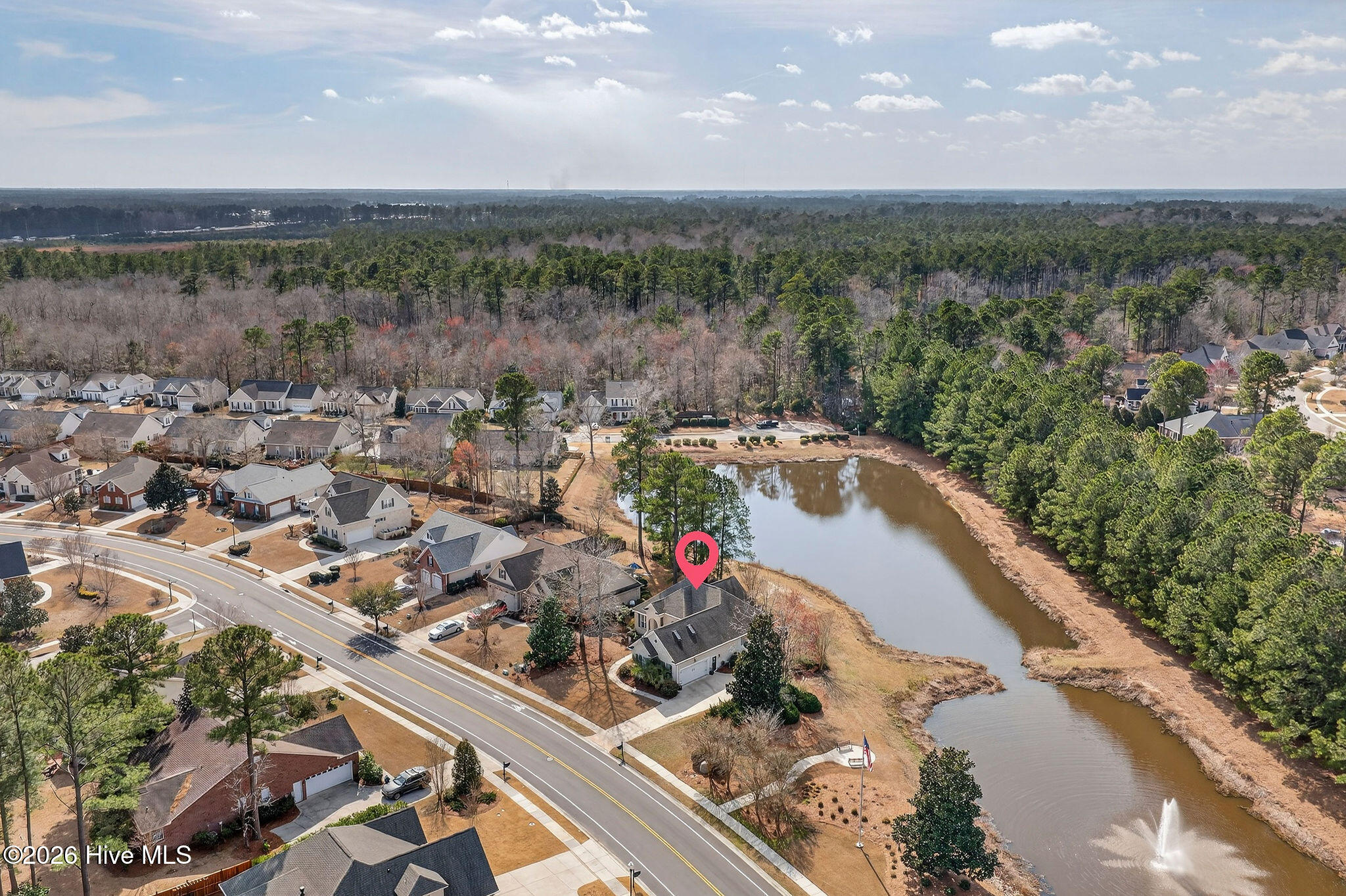 100558563 | Photo 59