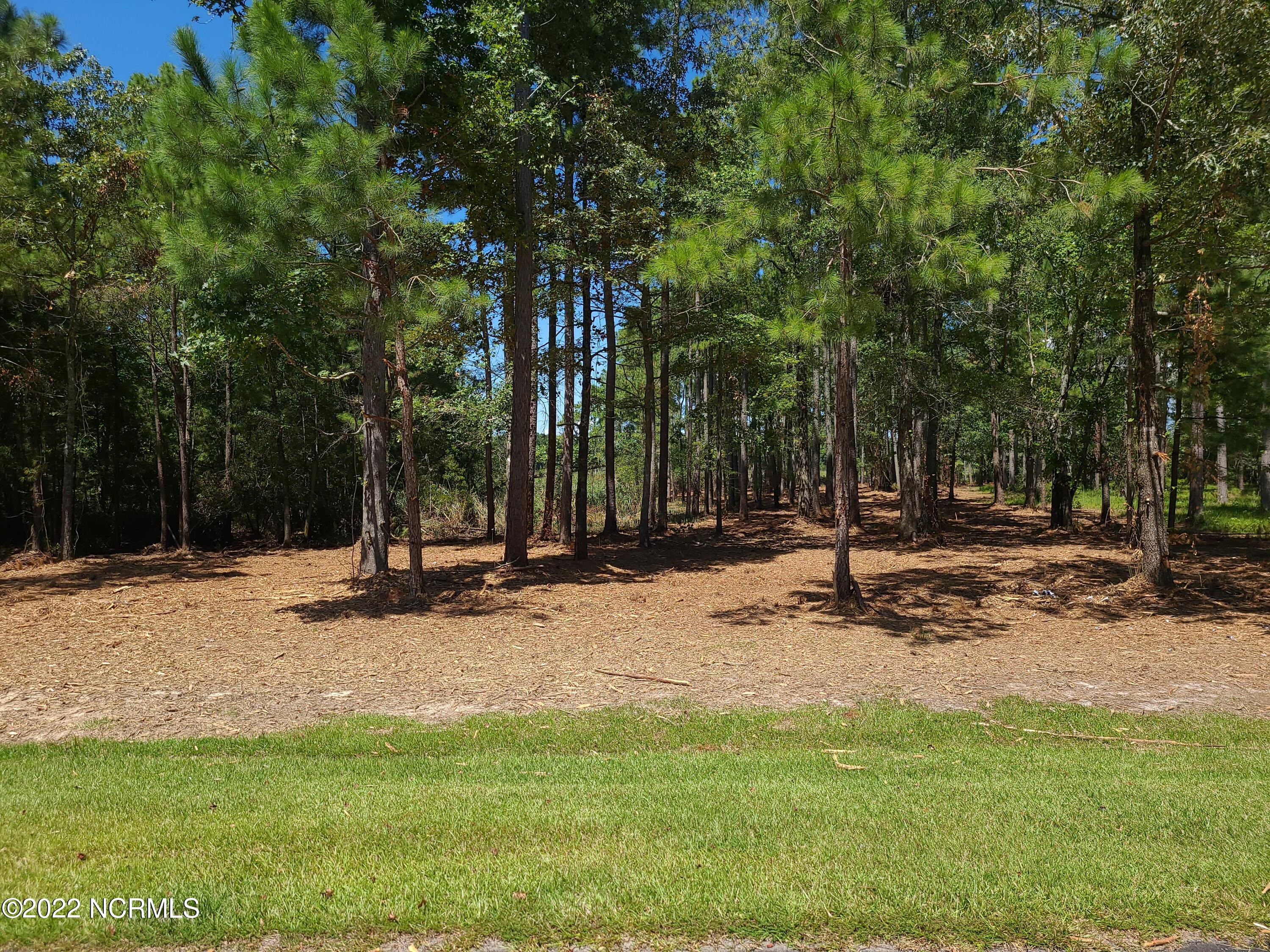 6 Ashton Drive, Bath, NC, 27808