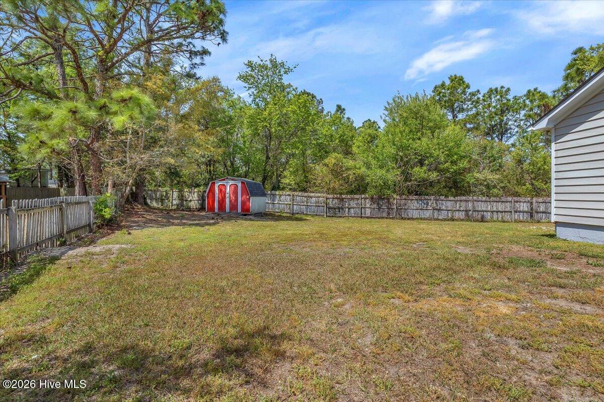 100566247 | Photo 50