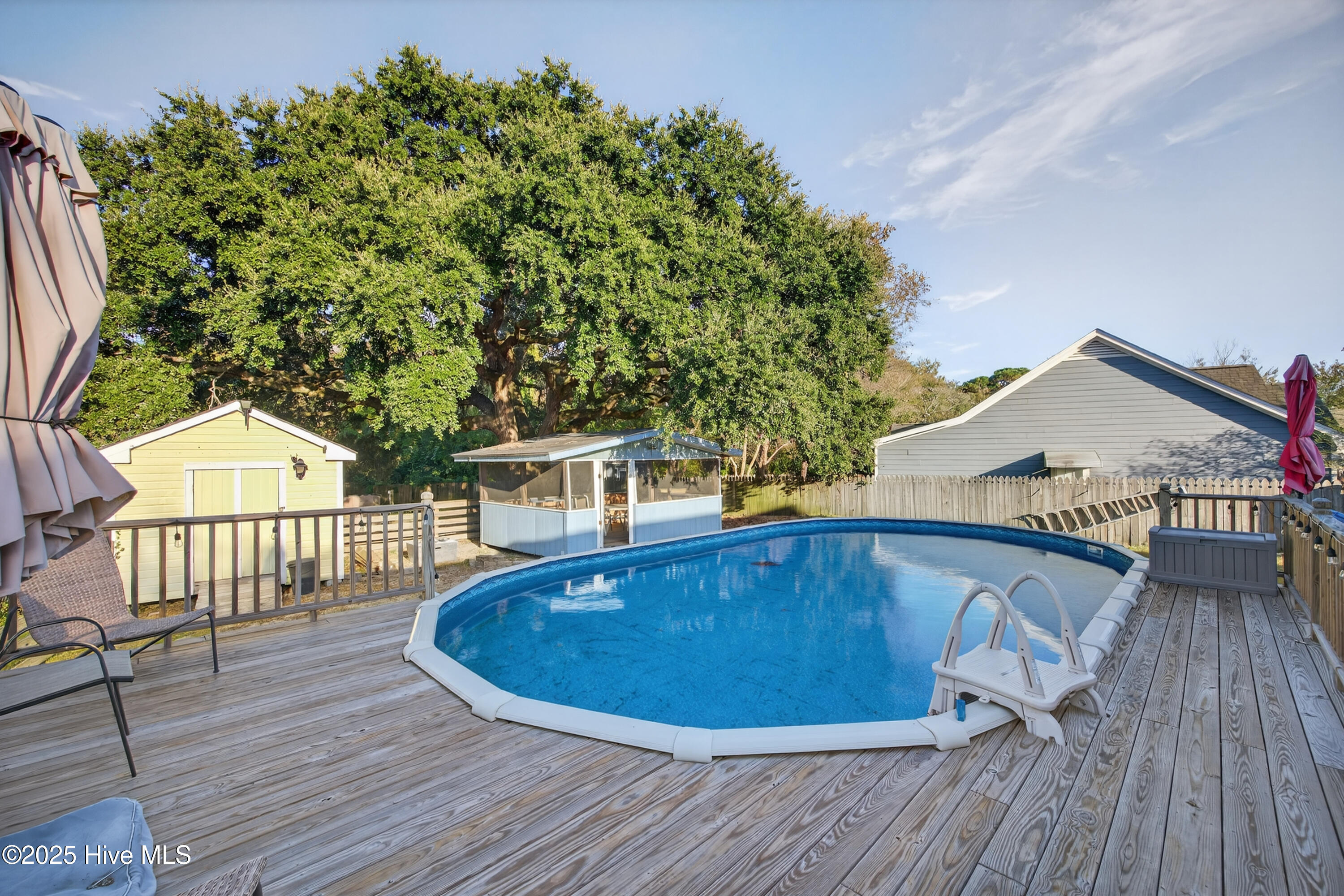 100541929 | Photo 29