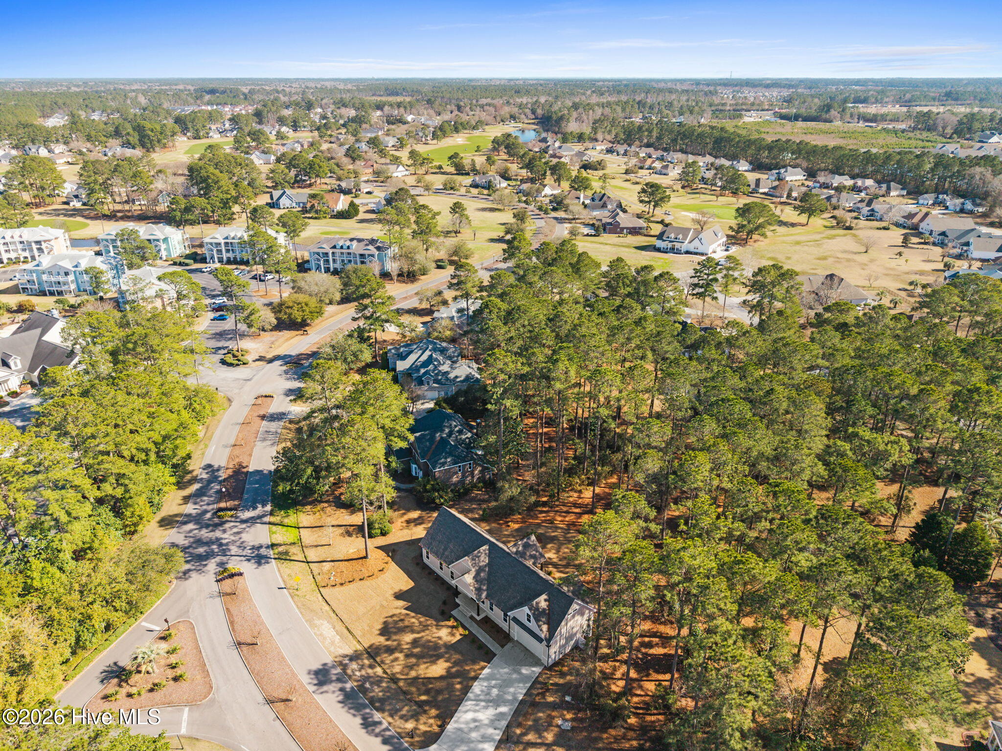 100559220 | Photo 50