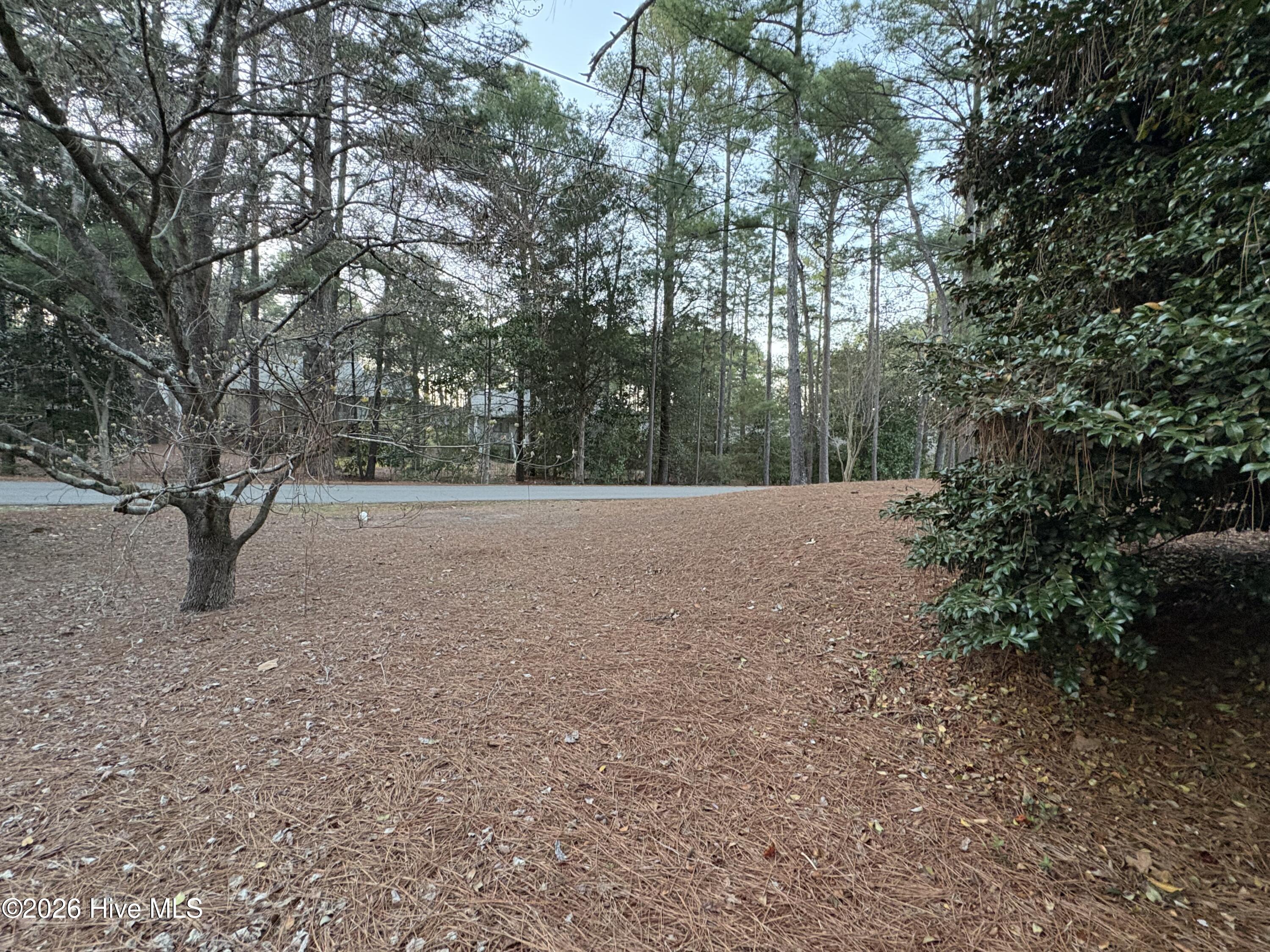 Homes for sale in Southern Pines, NC | 957 Sandavis Rd, Southern Pines, NC 28387 | MLS# 100561462