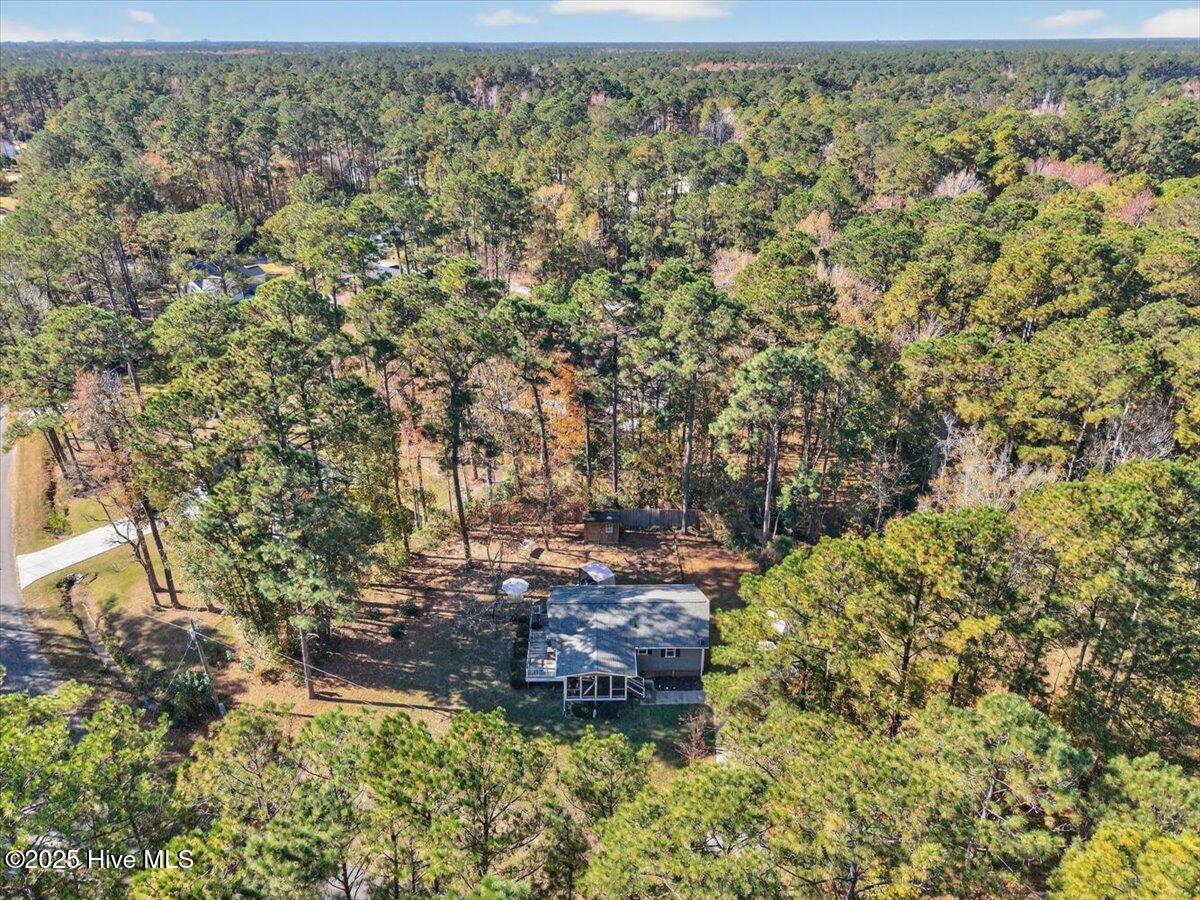 100542492 | Photo 45