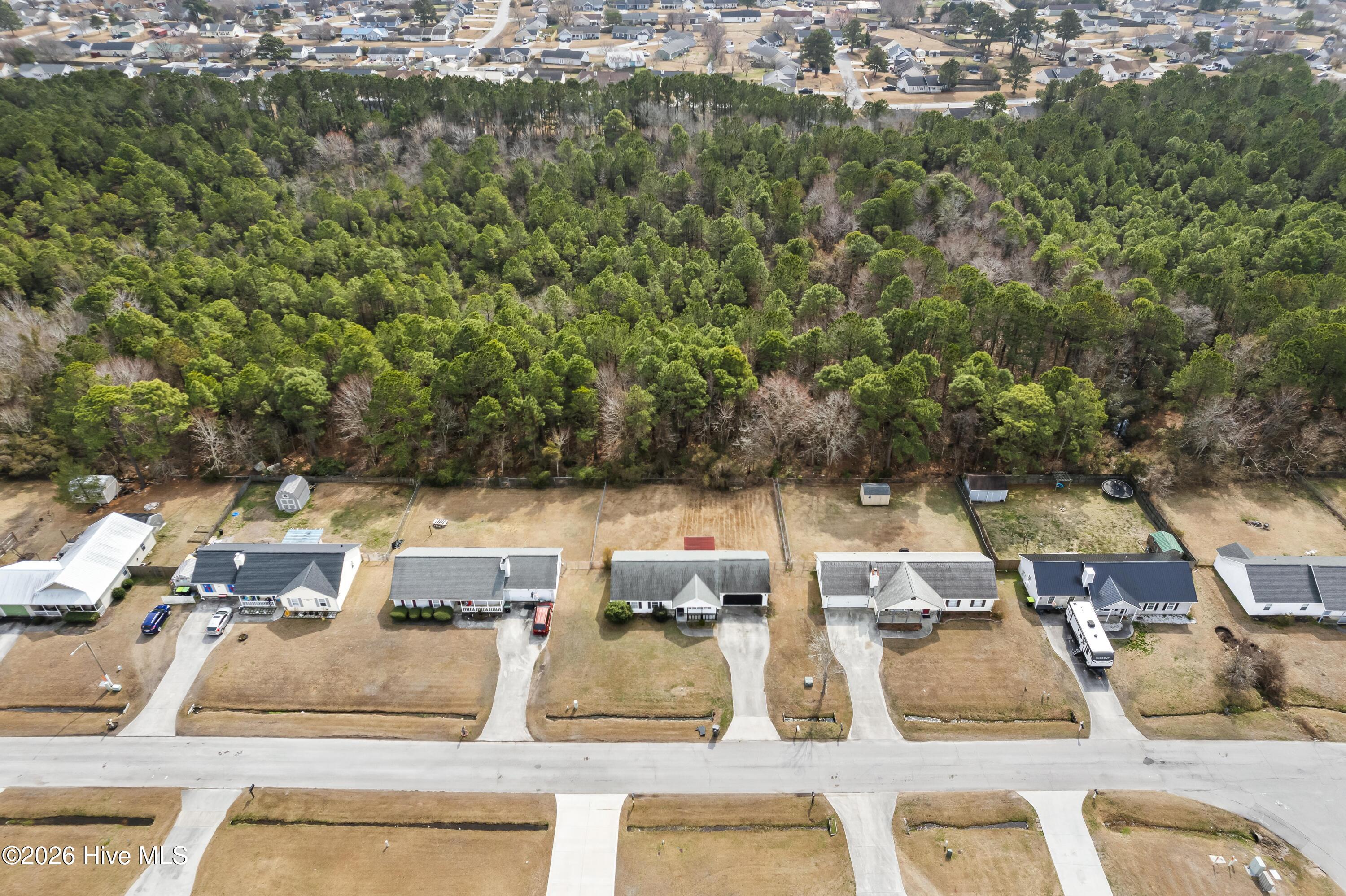 100558142 | Photo 21