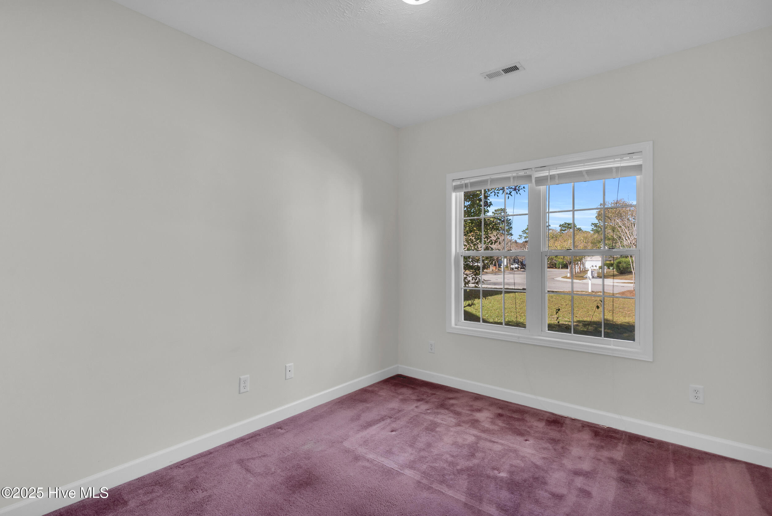 100540871 | Photo 20