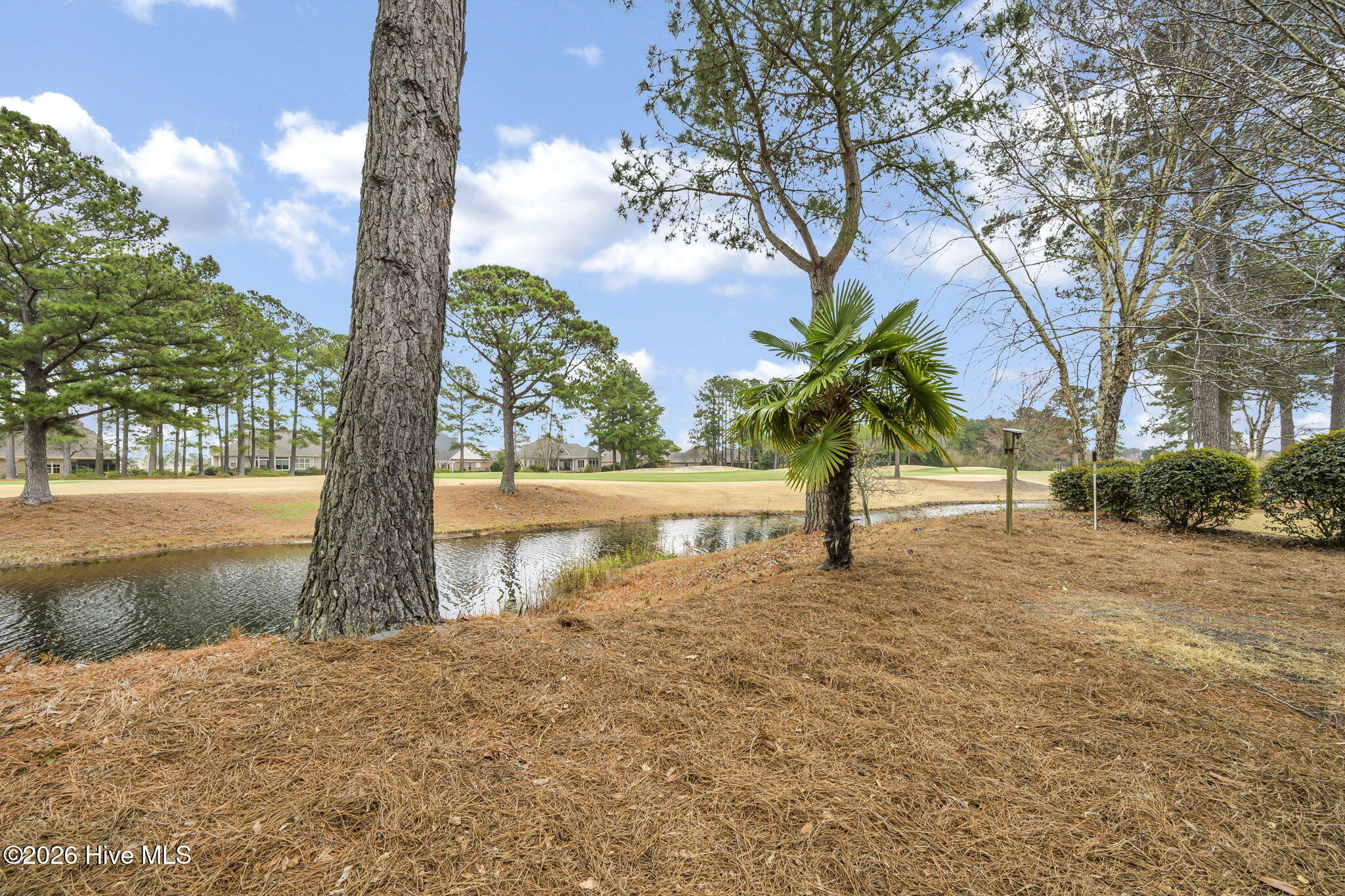 100557033 | Photo 39