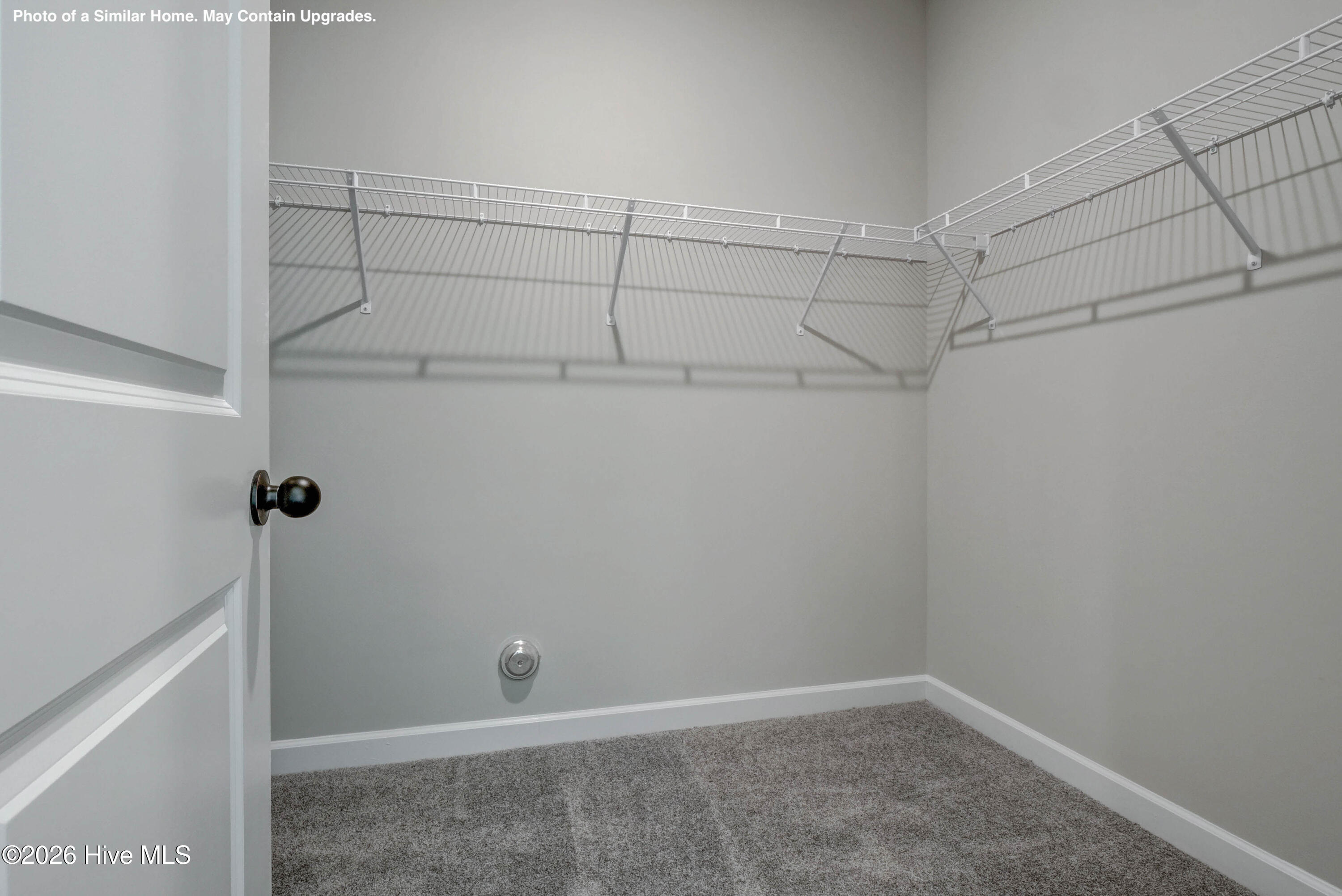 100567172 | Photo 14