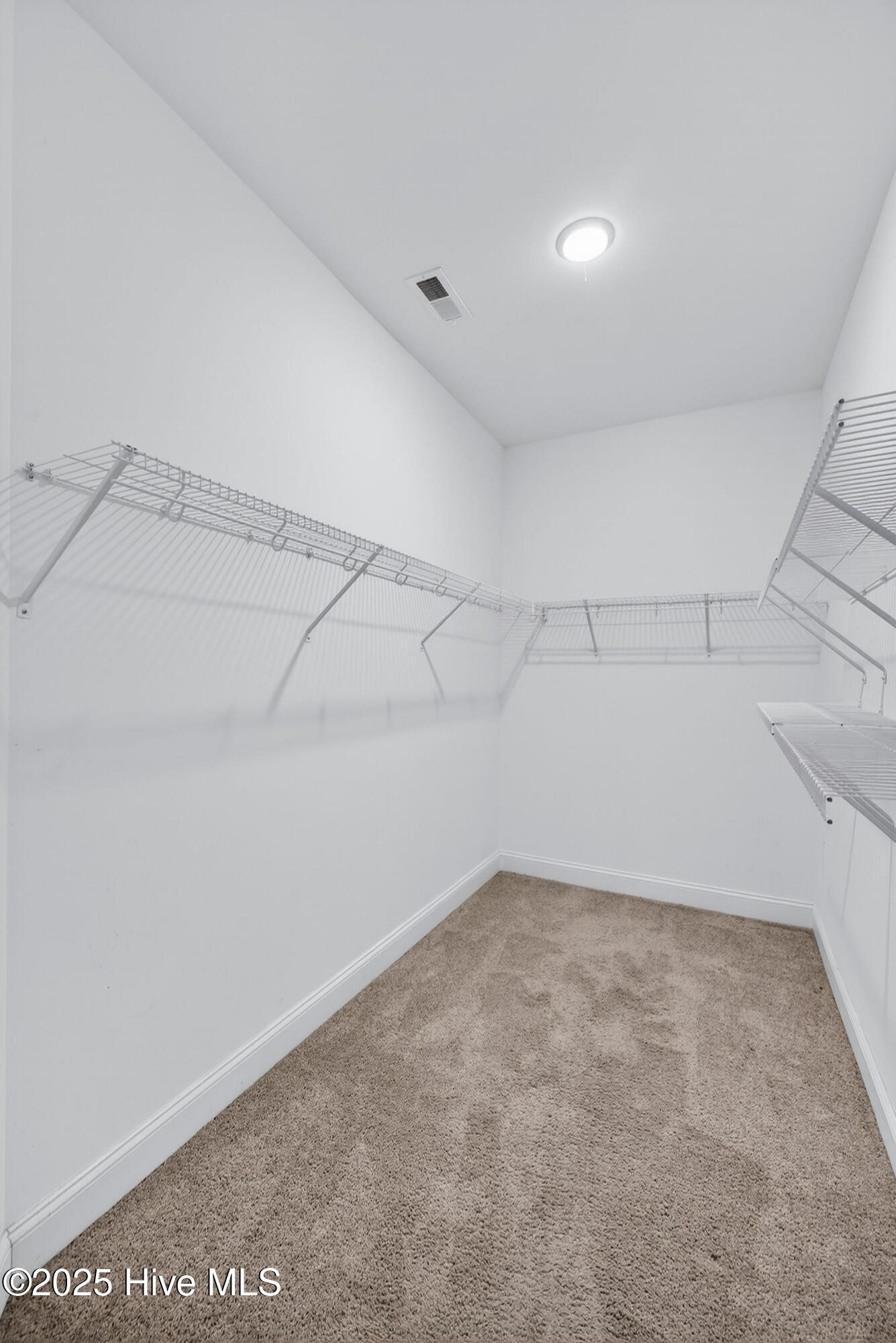 100545937 | Photo 30