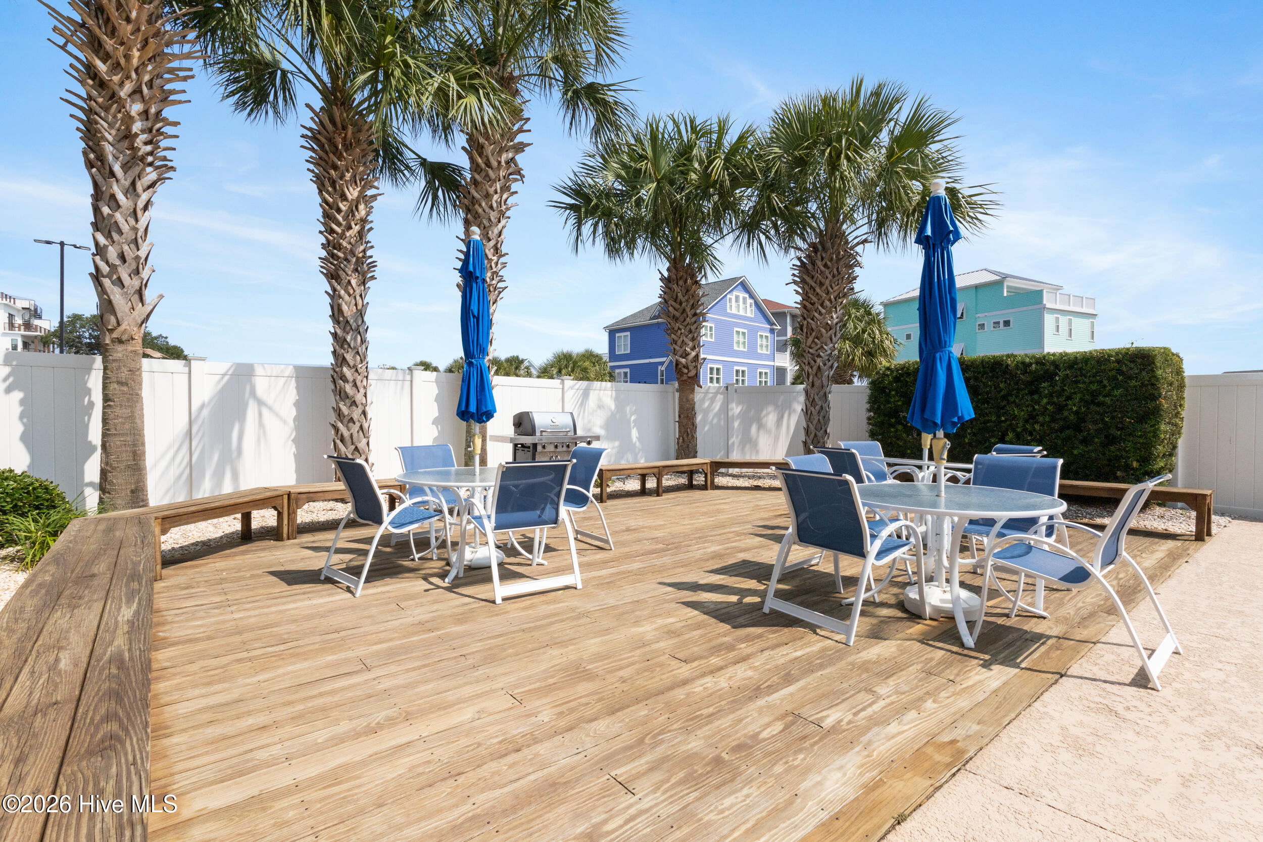 100567123 | Photo 38