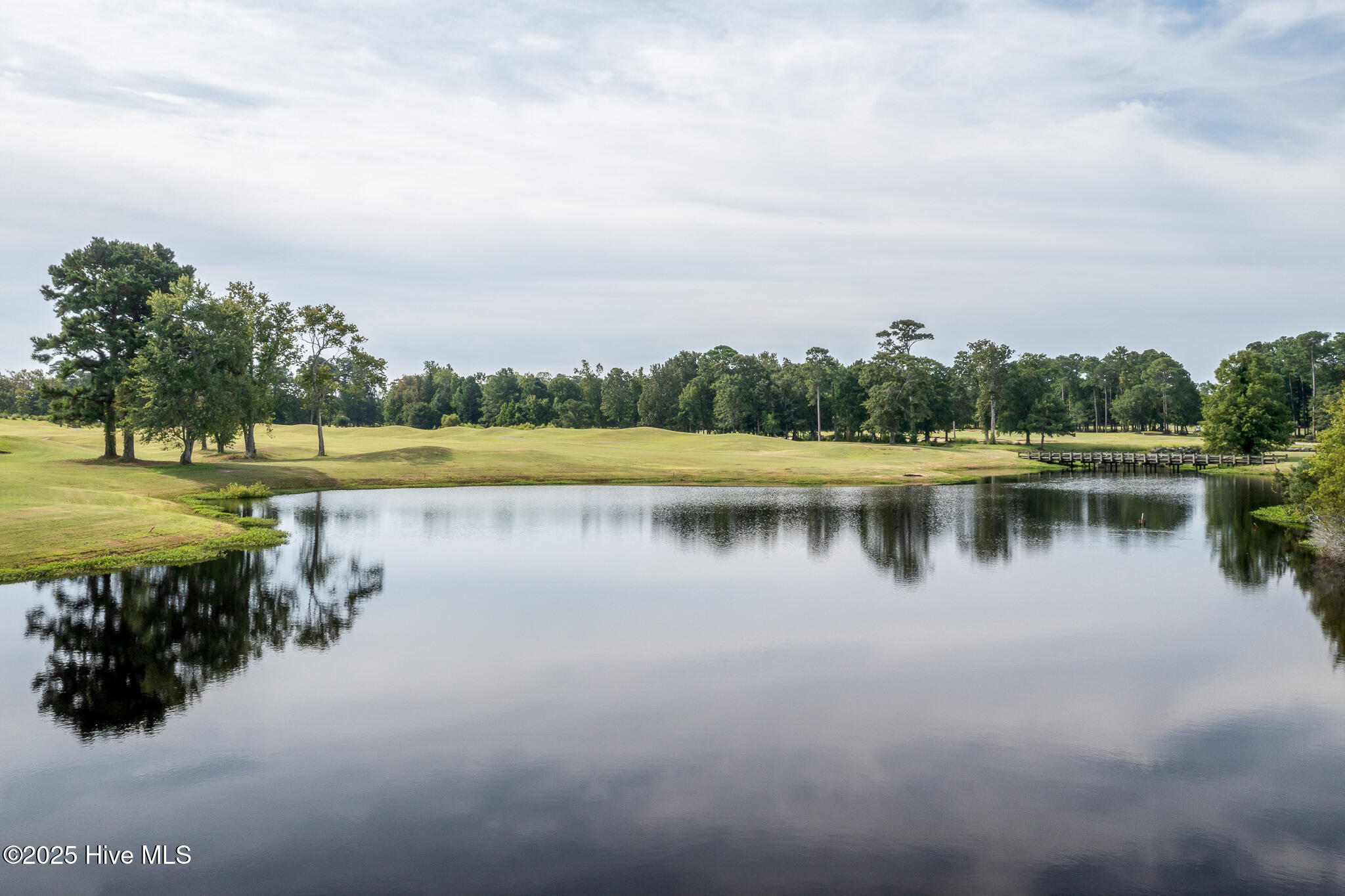 100528098 | Photo 46