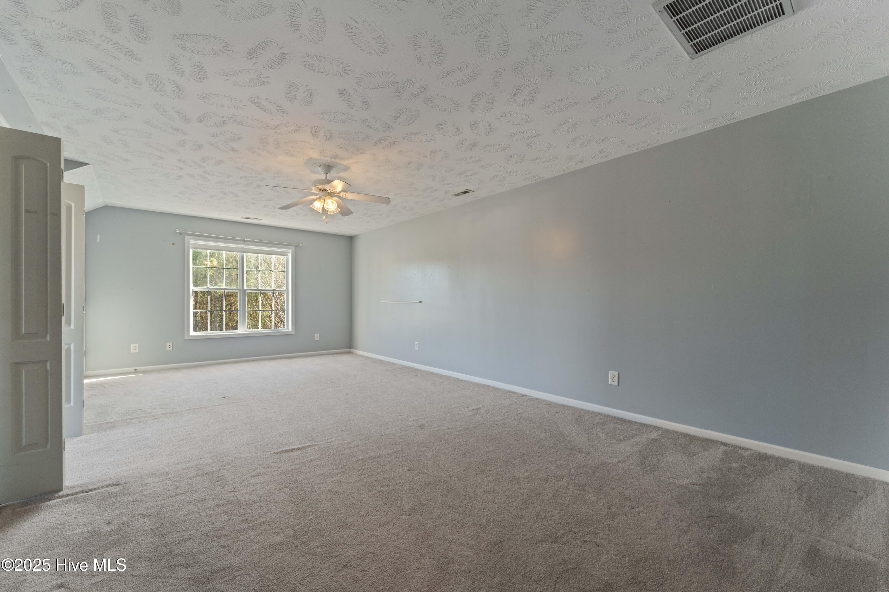 100556361 | Photo 17