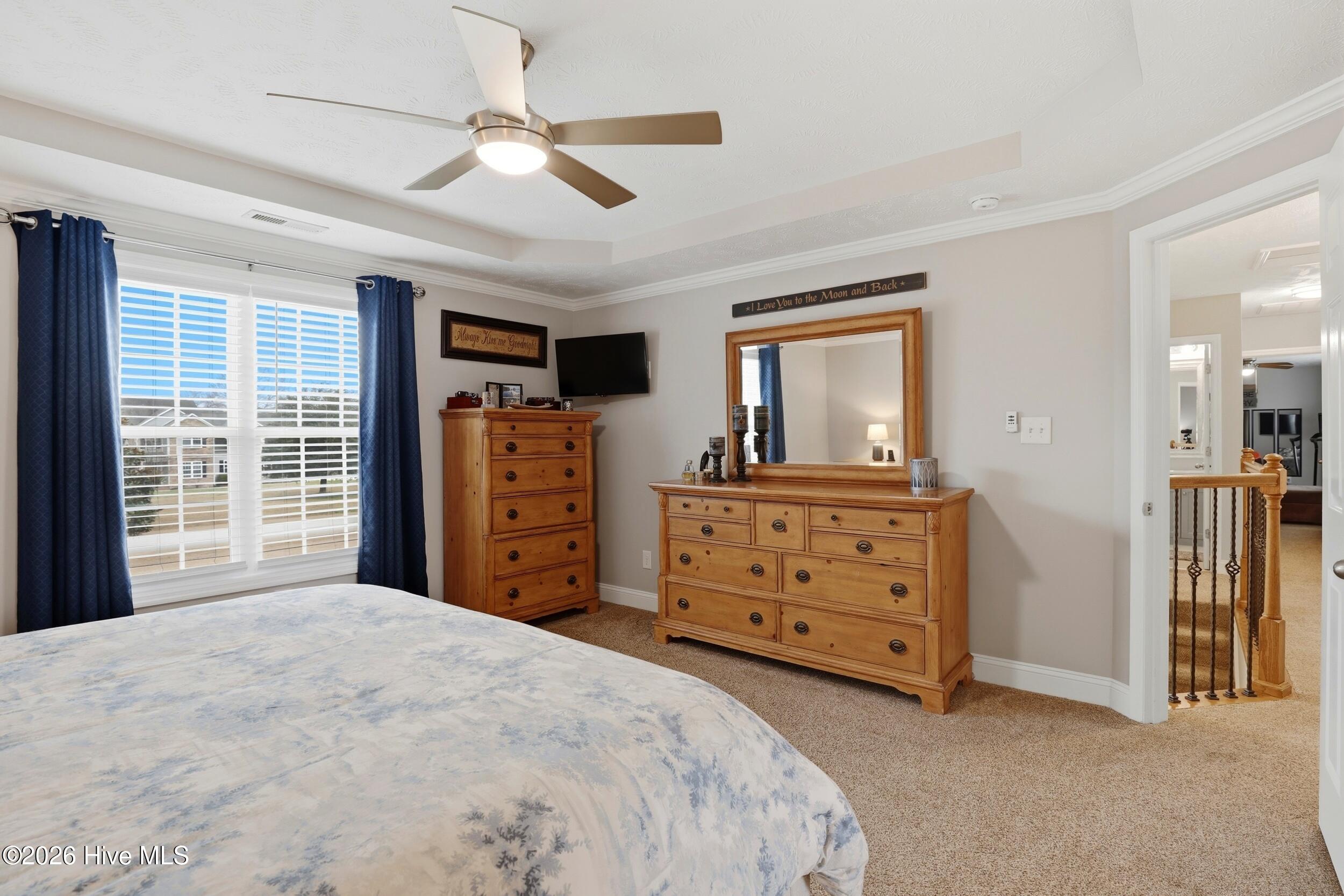 100558119 | Photo 20