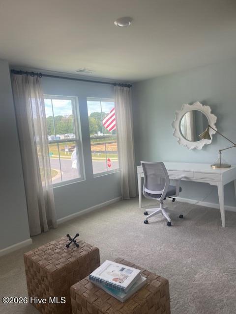 100563550 | Photo 12